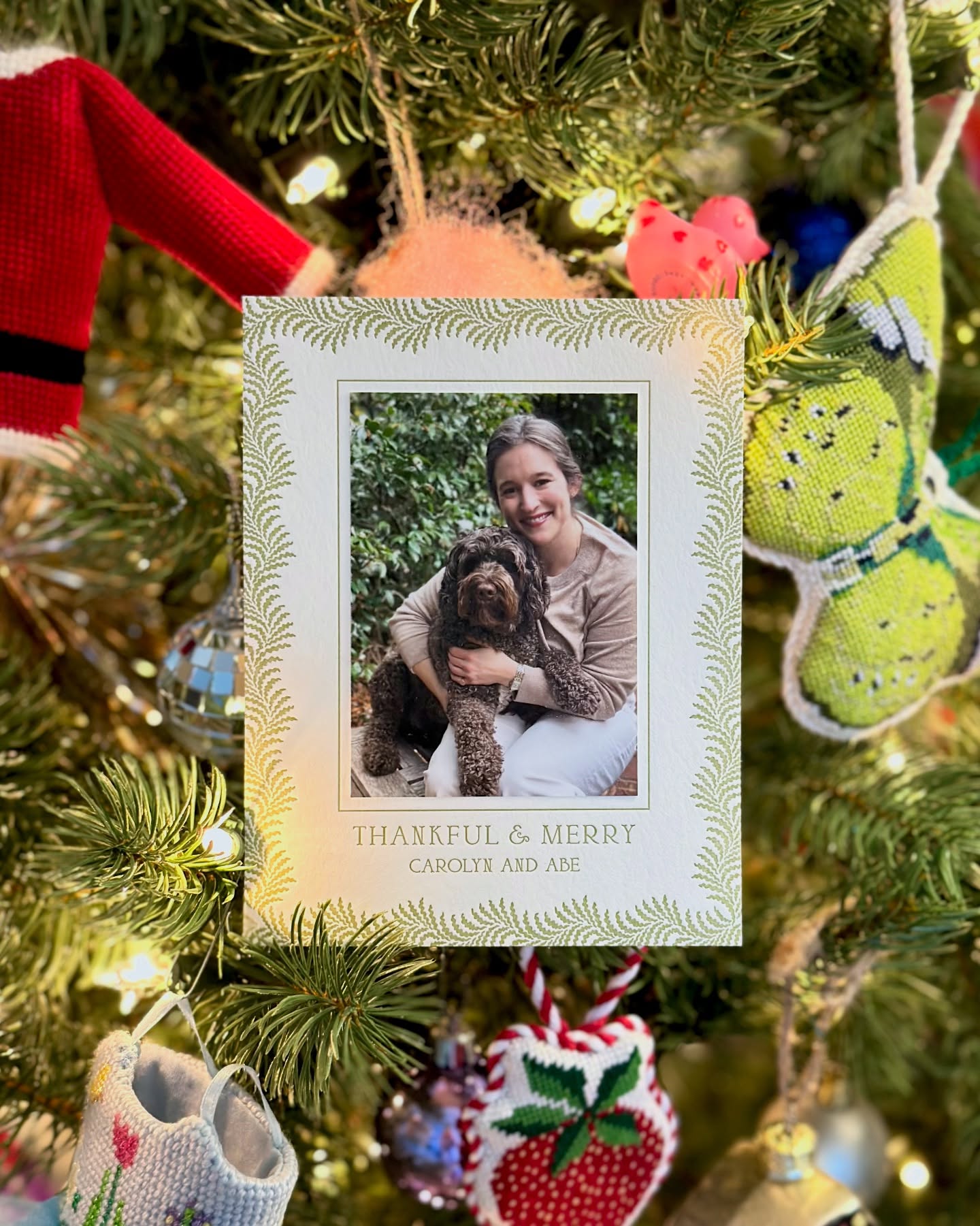We wish you a Merry Christmas! 🎄
I’ve posted a whopping two projects this year, but I’m thankful for a business that continues to grow despite my truly abysmal use of social media 😬
Anyway, here’s my Christmas card, and I’ve officially taken my dog-mom obsession to a new level by designing wrapping paper featuring Christmas Abe.
Merry merry!