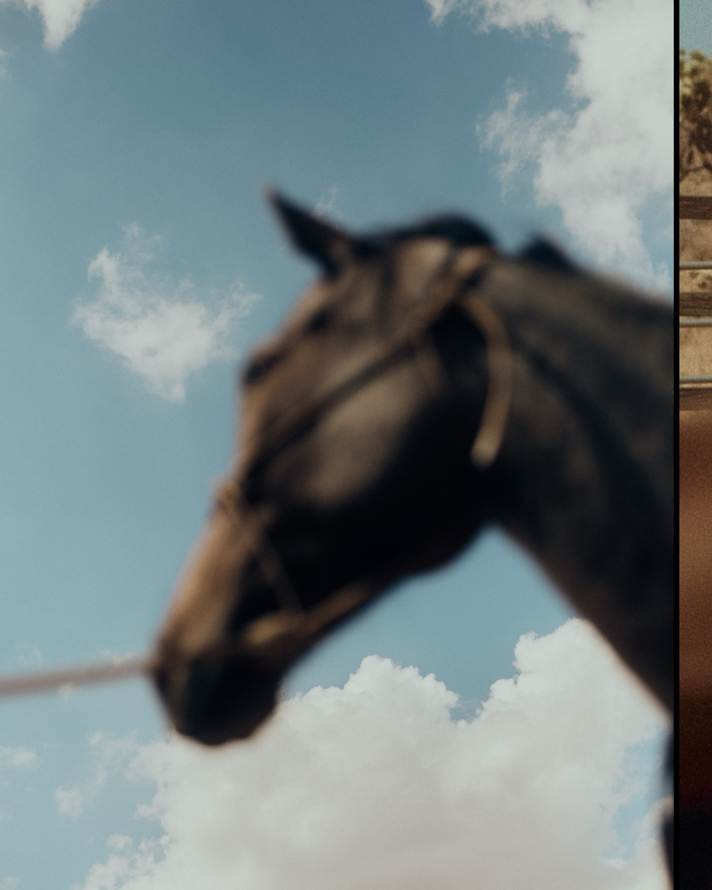 2025, the year of the snake, was a year of shedding.
Shedding old rhythms, old stories, and the pressure to move faster than felt true. It felt like a quiet undoing that was making space for something more honest.
As we step into the Year of the Horse, may we lean into strength that’s intuitive. Into movement that’s intentional. Into connection that’s deeply embodied. Horses don’t rush. They respond. They listen. They move with purpose and only when it feels right.
May 2026 feel different. Less striving, more alignment. Less noise, more presence. At Cocoon, this is the intention we are carrying into every space we care for, every client we serve, and every guest we host. Our homes are designed to ground you, open you, and remind you of what it feels like to be fully here.
Here’s to a year of forward motion that still honors rest.
May it lead you to the desert, and to us.
To a power that feels soft and to a return to yourself.
Cocoon
The Bustin’ B Ranch - Pioneertown California
@wadingwhitehorsewoman @westerlyusa
Picture Credit @johnryanhebert
Drone Footage @kuratekphoto
#yearofthehorse #slowliving #desertgetaway #ranchhome #horseretreat