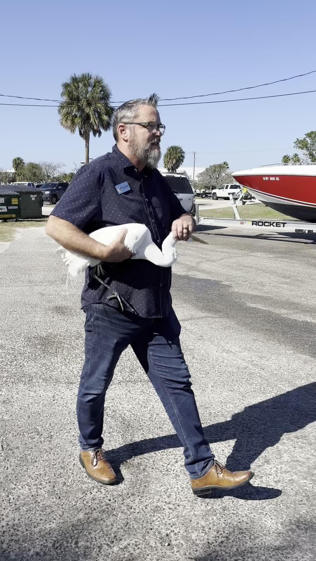 At SOS, we have a small dedicated team ready to spring into action at any moment! Our Executive Director, Brian, noticed a great egret on our campus with a long line dangling. After a swift capture, the hospital was able to free the bird from its entanglement consisting of a hook impalement and about 25’ of fishing line. The bird was released nearby on beautiful City Island, back out in the open! #rescue #wildlifeconservation #birdlovers #sarasota