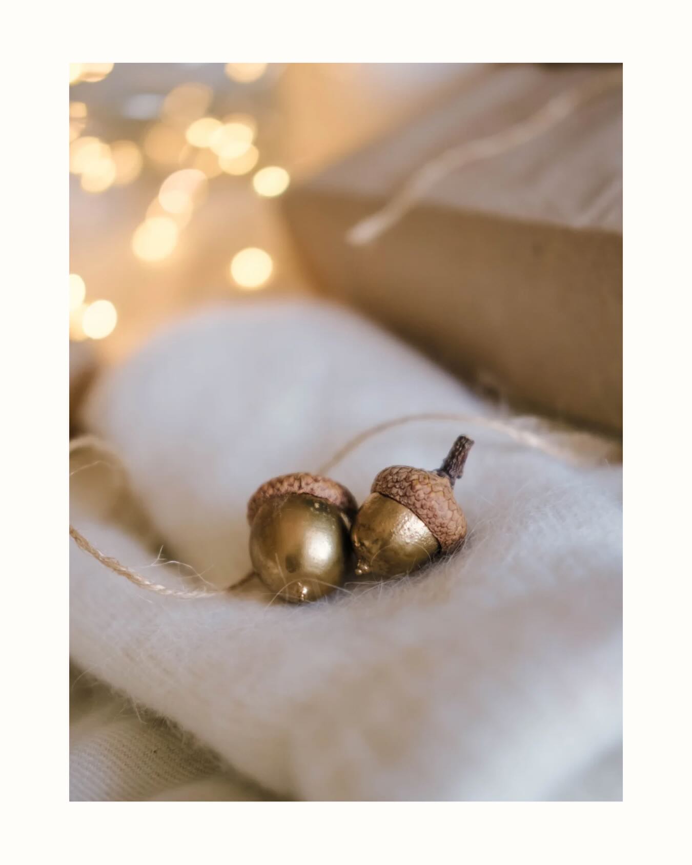 Hallo lieve allemaal,
Het is echt te lang geleden dat ik wat gepost heb. Tja druk druk druk met verbouwen, geen kerst krullen maar verf in m’n haren.
Vandaag toch weer aan de klus maar dan met een feest muts op! Want jippie het is weer zover: een nieuw levensjaar erbij (56 🕯️). Blij dat ik ze mag uitblazen.
Voor jullie allemaal: lief dat jullie me (nog) volgen, geniet van de laatste dagen van 2025 en van elkaar.
Liefs Dagmar
#happybirthday #diditagain #verjaardag #jarigejob