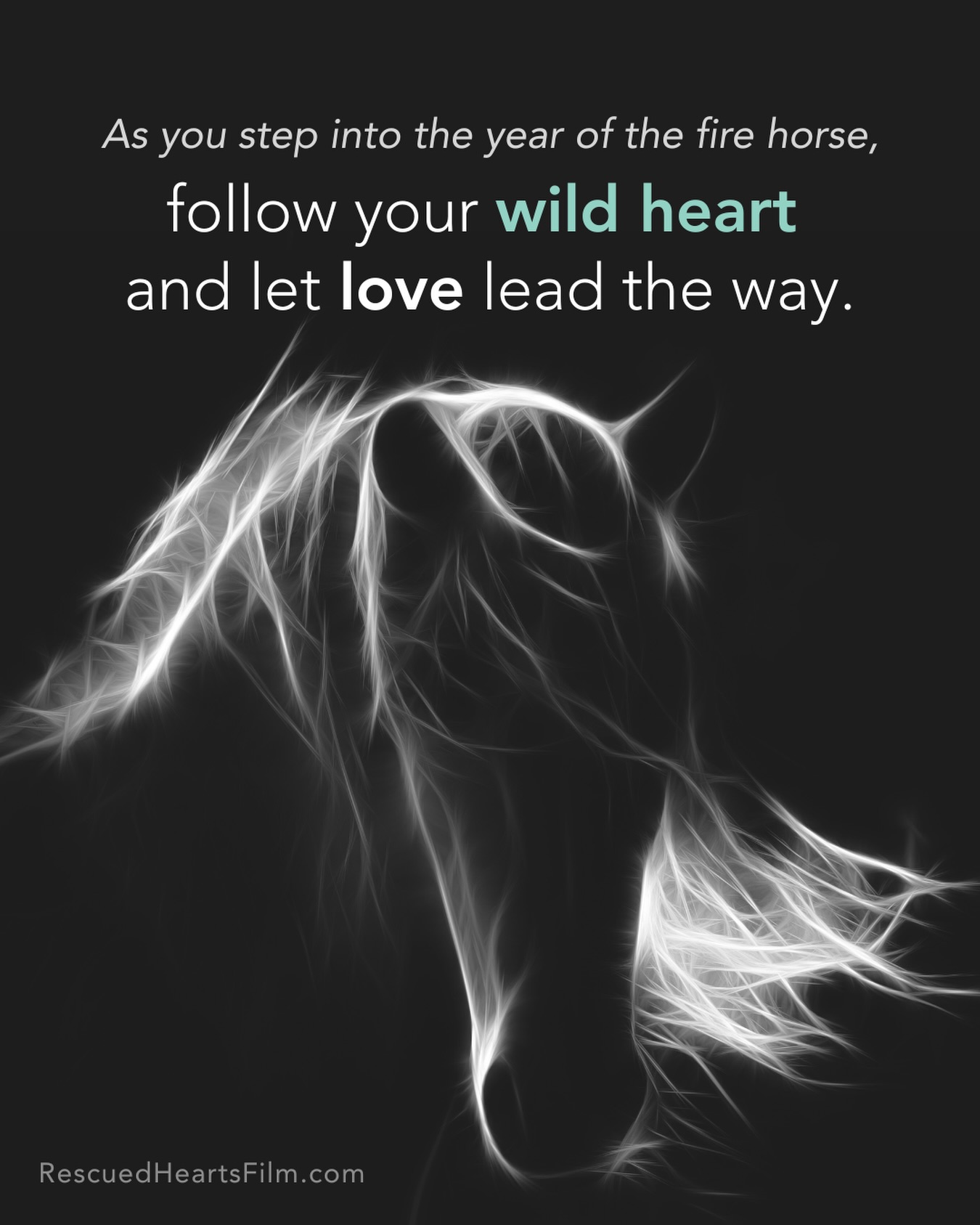 There’s a different kind of energy we’re moving toward in 2026.
One that isn’t asking us to push harder or become more, but to live more honestly from within.
The Year of the Fire Horse begins in February, and it arrives only once every 60 years. That alone is significant. It feels less like something to rush toward, and more like an energy to embody.
In many traditions, the horse represents freedom, movement, vitality, and truth. Not freedom as escape, but freedom as alignment. Movement that comes from listening. Momentum that arises from within.
When the Horse meets the Fire element, the invitation deepens. This is not about forcing change or making ourselves better. It’s about courage over comfort. Truth over approval. Embodiment over overthinking. Movement guided by inner ignition, not obligation. These themes hit home for me personally as major areas of focus in 2026.
This reflection feels especially meaningful after walking alongside the stories shared in Rescued Hearts. Again and again, the horse-human connection reminds us that healing doesn’t come from force or fixing. It comes from presence, honesty, and relationship. From learning to trust what’s alive inside us.
As we approach this rare Fire Horse year, my wish is simple and sincere. That we soften the noise. That we listen more deeply. That we allow love, not pressure, to lead the way.
In the coming weeks, we’ll be quietly opening the doors to something new called the Wild Hearts Community. A small group of founding members will be invited to help shape it before the official launch in March. Not as spectators, but as co-creators. A space to explore connection, presence, and what it means to live from the heart, together 🐴❤️🔥
More soon.
(This would be a good time to get on our email list - rescuedheartsfilm.com)
For now, as we stand on the threshold of a new year and a rare cycle ahead, may we trust our wild hearts and follow what feels true, even when it asks us to be brave.
From my Rescued Heart to yours,
Dana, Producer
#wildhearts
#rescuedheartsfilm
#yearofthehorse
#firehorse
#healingwithhorses