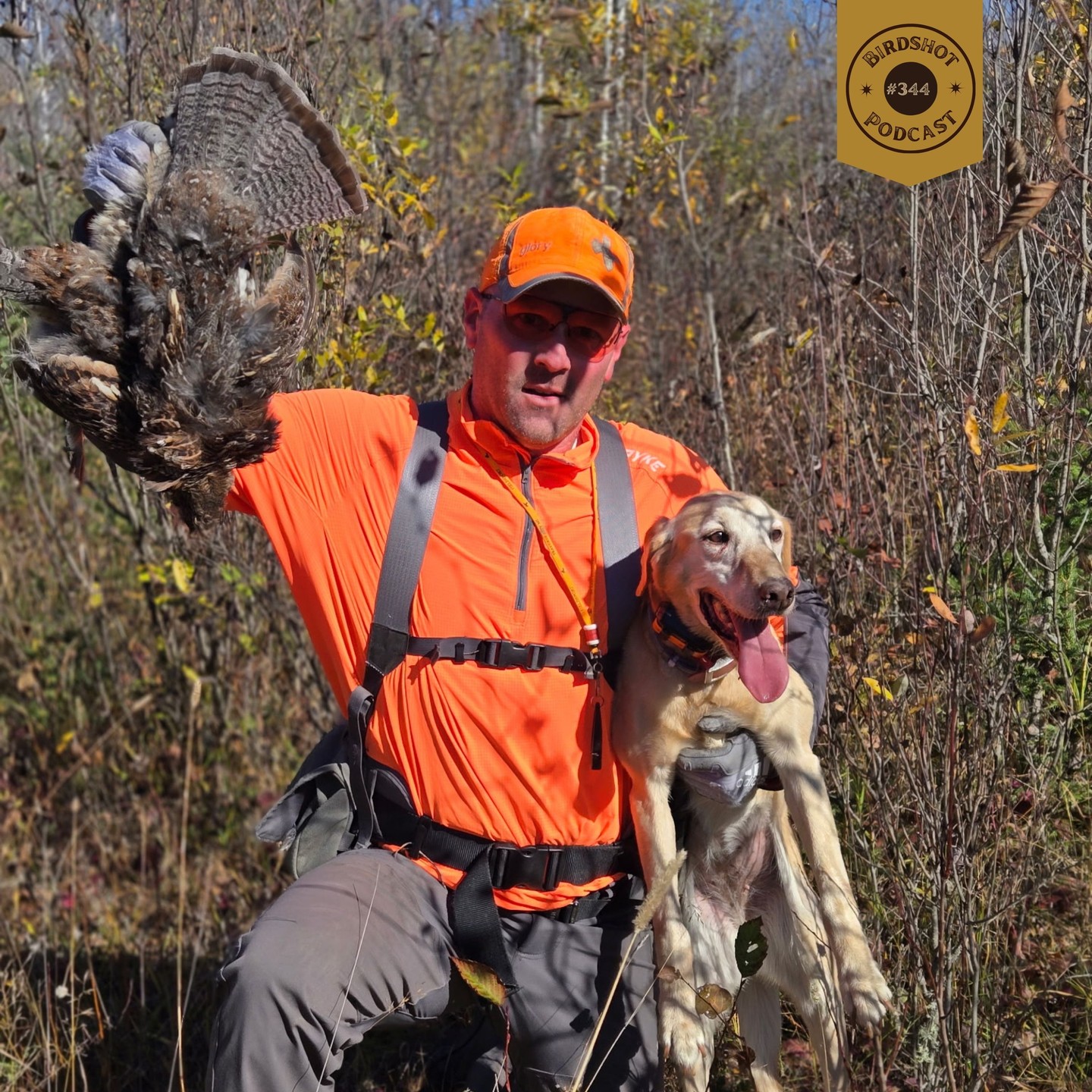 🎙 NEW EPISODE #344 | This week on the Birdshot Podcast, Nick Larson reconnects with Fritz Heller for a thoughtful look back at a challenging grouse season and a look ahead with two new flushing dog puppies added to the kennel. We unpack what Fritz saw in the woods during 2025 — from ice storms and early heat to inconsistent bird numbers — and how those experiences shape expectations, training priorities, and optimism heading into the seasons to come.
–
🎧 Link in bio to listen + watch
📍 Available on Spotify, Apple Podcasts & YouTube
–
💥 Presented by:
@onxhunt | Use code BSP20 to save 20%
–
💥 Supported by:
@final.rise
@upland_gun_company
@marshwearclothing
@trulockchokes | Use code BS10 to save 10%
_
#birdshotpodcast #grousehunting #uplandhunting #ruffedgrouse #flushingdogs #birddogs #habitat #huntingseason #uplandlife #birdhunters