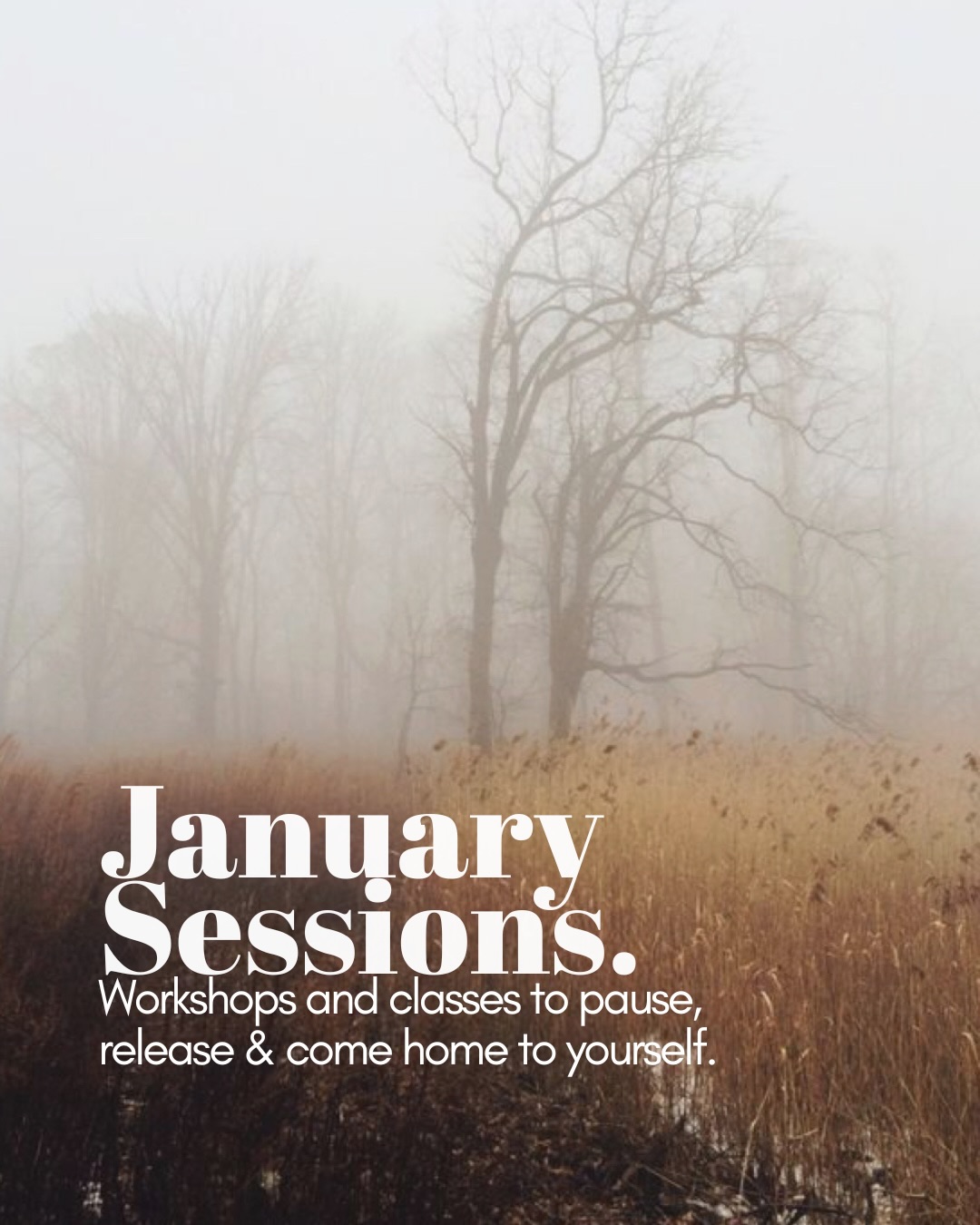 Looking for a space to dream, to release, to replenish or reconnect? I have got you.
Whether it’s sound baths to soothe your soul and experience deep rest, sessions to release the old and welcome in the new or Breathwork to guide you home to yourself there is something for you this January.
Let out a collective sigh (or scream) after a busy festive season, reconnect to your inner world and rest or replenish your heart with some really beautiful and expansive workshops.
My one request is that we won’t do the whole ‘new year new you thing’ you are already great, let’s launch from there 💥
I would love to see you in class, online or at a workshop, swipe along for flyers or below for the full schedule >>>>>>>>
January:
4th 1.30pm - 4.30pm
New Year’s Breath & Sound Journey to Release, root and rise. @oru_space
5th 1.45pm - 2.30pm
Weekly Breathwork into Sound Healing @oru_space
7th 8.15pm - 9.15pm
Weekly Sound Healing @oru_space
8th 11am - 12 noon
Baby Sounds, a sound bath to hold you whilst you hold your baby @micayogastudio
16th 7pm - 9.30pm
New Year, New Moon Breath & Sound Journey @micayogastudio
17th 4.30pm - 6.30pm
Creative Possibilities, a fusion of mindfulness, breathwork and creative therapeutic techniques to remove blocks and create possibility for the new year. Hosted by @latham_jones_ @nurturingfolk and @ Robcoming
With the option to join us for a community dinner and continue the conversation @oru_space
31st 7.30pm - 7am
All Night Gong Puja with @isabellaverrico and @nurturingfolk hosted @micayogastudio
How ever you choose to spend your month, I am wishing you much love and gentleness as we move through winter and reminding you that in nature everything is still sleeping & so can you if you want to.
Ali xx
#breathwork #soundhealing #slowliving
Somatic experiencing / coaching / healing / self development / conscious connected Breathwork / gong / events / London / South London
