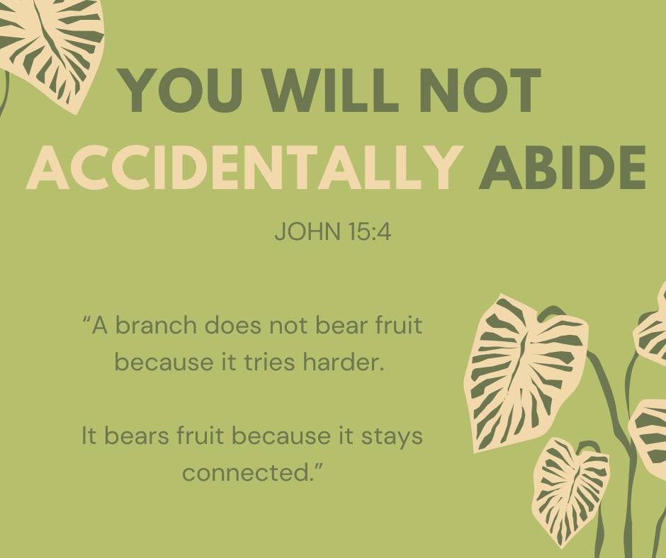 CIO Weekly Dec 30: The ABIDE Edition