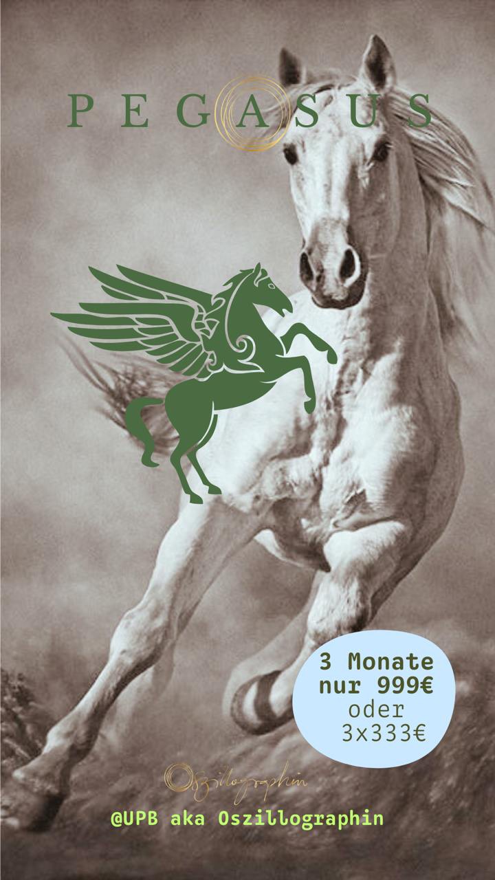 Jetzt beginnt das neue Feld.
Das wilde Feld.
Das Feld des weißen Pferdes.
Ich öffne dir drei Monate lang einen Raum – von Januar bis März - in dem du dich a das PEGASUS in dir erinnerst.
An die Kraft, die nie gezähmt wurde.
An die Freiheit, die nie verschwunden ist.
An das Leuchten, das nur darauf wartet, dass du es wieder berührst.
2026 trägt die Eins.
Die reine Ursprungskraft.
Das Jahr des ersten Schritts, des Neubeginns, des klaren „Ich bin“.
Und ich nehme dich mit genau in diesen Übergang hinein vom alten Ich, das du nicht mehr tragen musst in das neue Ich, das schon seit Monaten an deine Haut klopft.
Du wirst geführt.
Du wirst gehalten.
Du wirst erinnert.
Daran, dass du ein Geschenk bist.
Nicht für andere, immer zuerst für dich selbst.
Daran, dass Verbindung mit dir selbst kein Ziel ist, jedoch dein Zuhause.
Ich begleite dich hinein in dein neues Ideal, in deine neue Freiheit, in deine Identität, die schon immer auf dich wartet.
Damit du dich in diesem Leben wirklich lebst.
Nicht halb.
Nicht später.
Jetzt.
PEGASUS ⚓️ Kraft & Sicherheit für 2026
Start 11.1.2026
Vielleicht spürst du gerade, dass 2026 nicht einfach beginnen will.
Sondern dass etwas in dir leise ruft:
Nach Ruhe.
Nach Sicherheit.
Nach deinem eigenen Rhythmus.
PEGASUS ist ein Raum,
in dem du ankommen darfst.
Zwölf Wochen, in denen ich dich halte
und dich begleite –
zurück in deine Kraft,
in dein Leuchten,
in dein einfaches Sein.
Du löst, was nicht mehr zu dir gehört,
und beginnst, dich neu zu verkörpern –
sanft, geerdet und getragen.
PEGASUS erinnert dich an deine Flügel
und zeigt dir, wie sich Freiheit anfühlt,
wenn sie sicher ist.
Wenn dein Herz das hier hört,
dann kennst du die Antwort.
Komm in PEGASUS
und lass dein Herz den Himmel berühren.
Ich liebe deinen Weg.
Ursula Philomena aka Oszillographin