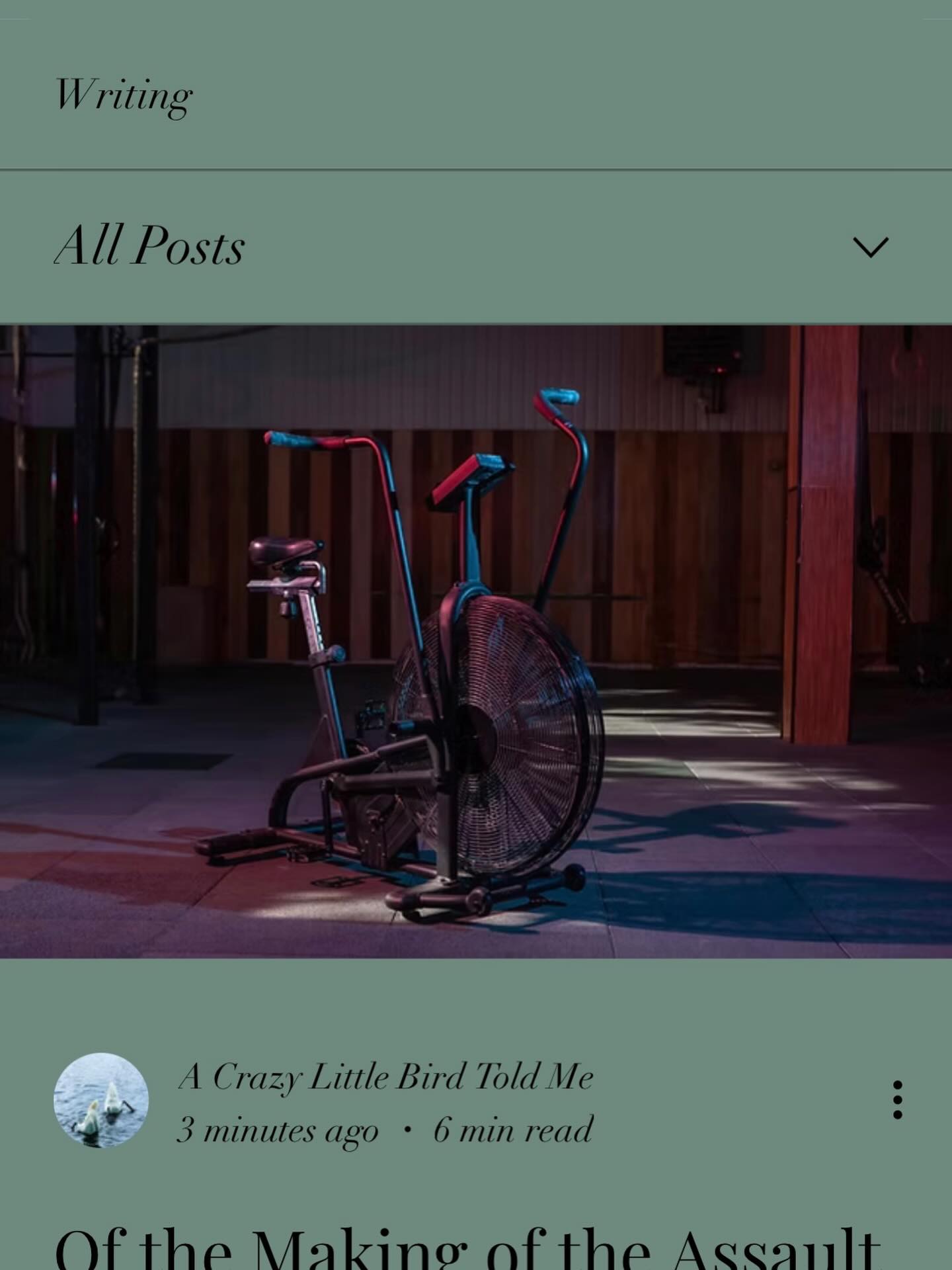 https://www.acrazylittlebirdtoldme.com/post/of-the-making-of-the-assault-bike