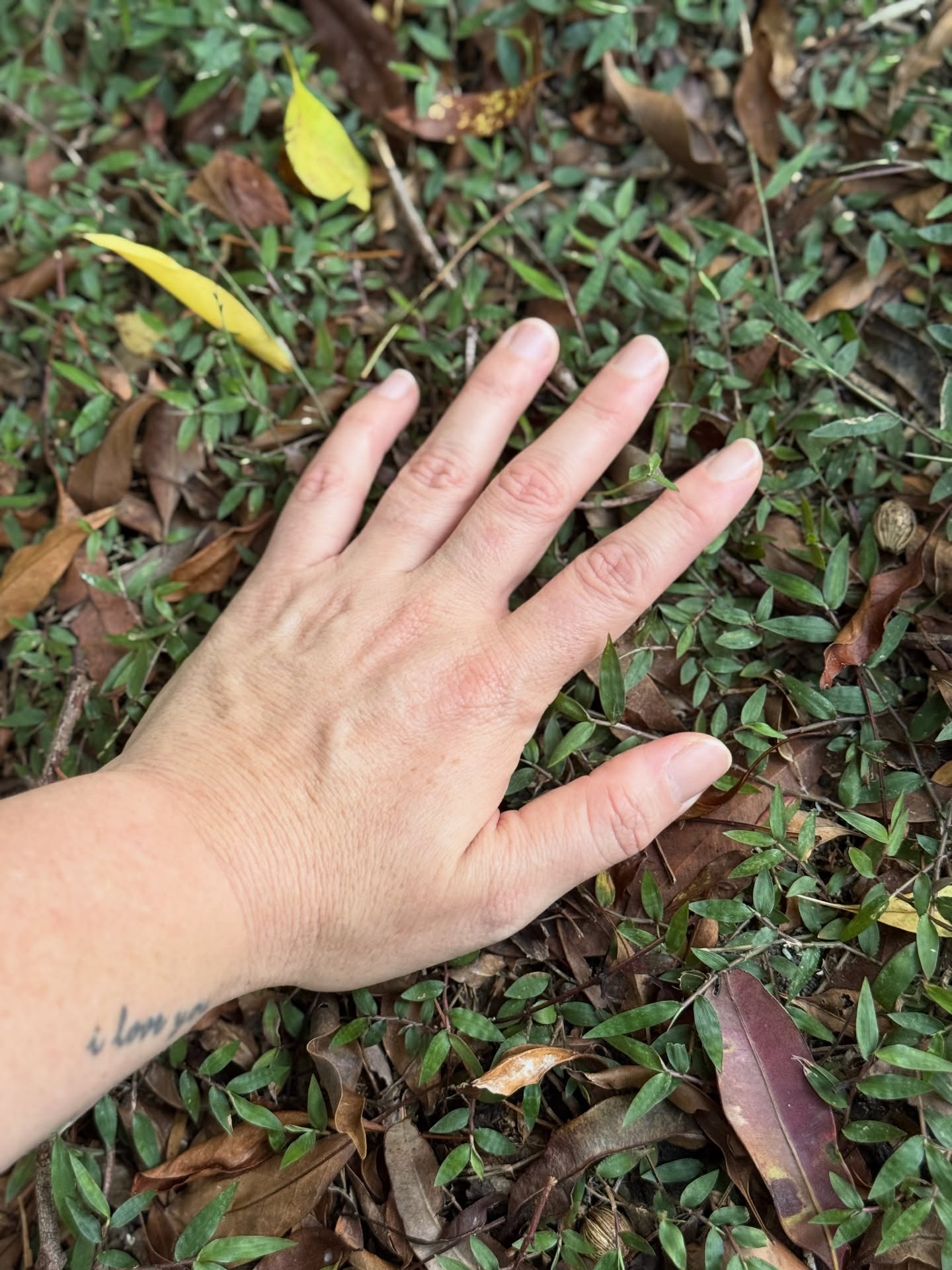 Grateful to spend a little time at the end of the day yesterday sitting on the ground out in my happy place under the trees. Enough time to do a little sketching and a bit of watercolour… but mostly taking the chance to just sit and reflect and be for a while. Always grateful for these pockets of time.
Sending some pockets of peace your way too as this big year draws nearer to its close 🥰
#natureinspiredart #gratefulforlife #artisticinspiration