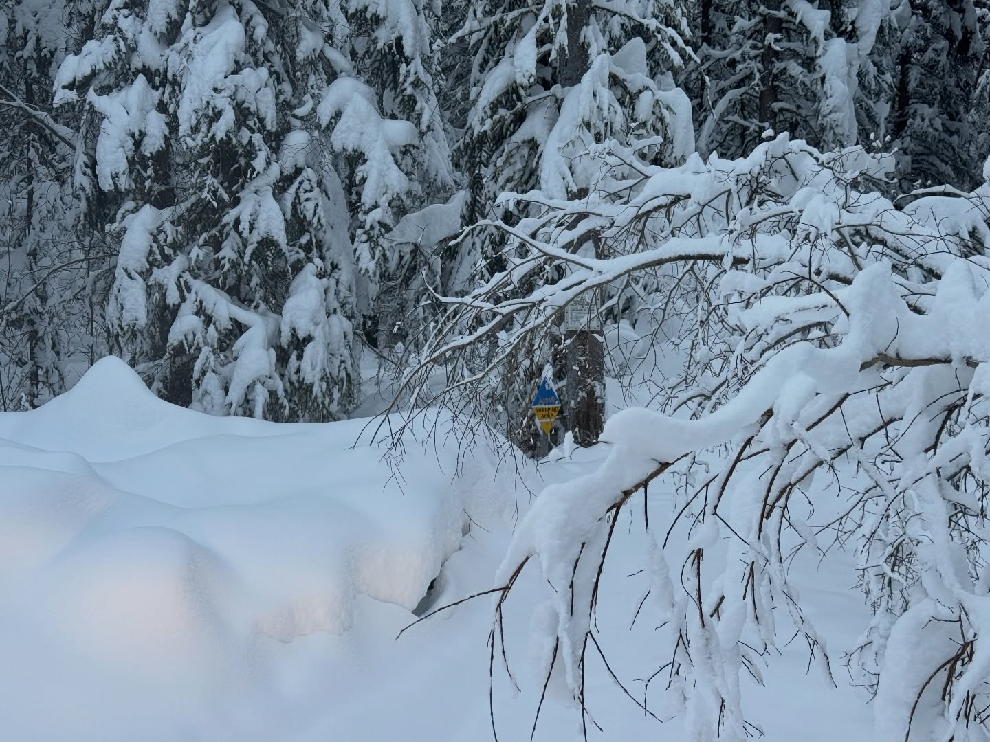 This has been a crazy year, to warm to make ice then a 30 degree drop in 7 days that kept falling to -49 at one point. 2.5 weeks of -35 to -45 and then the snow didn’t stop. Still haven’t got the trail all the way open, next week I’ll have the first half done.
#wildplaceadventures #soyouwanttobeatrapper #yukontrapping #breakingtrail #nogymneeded