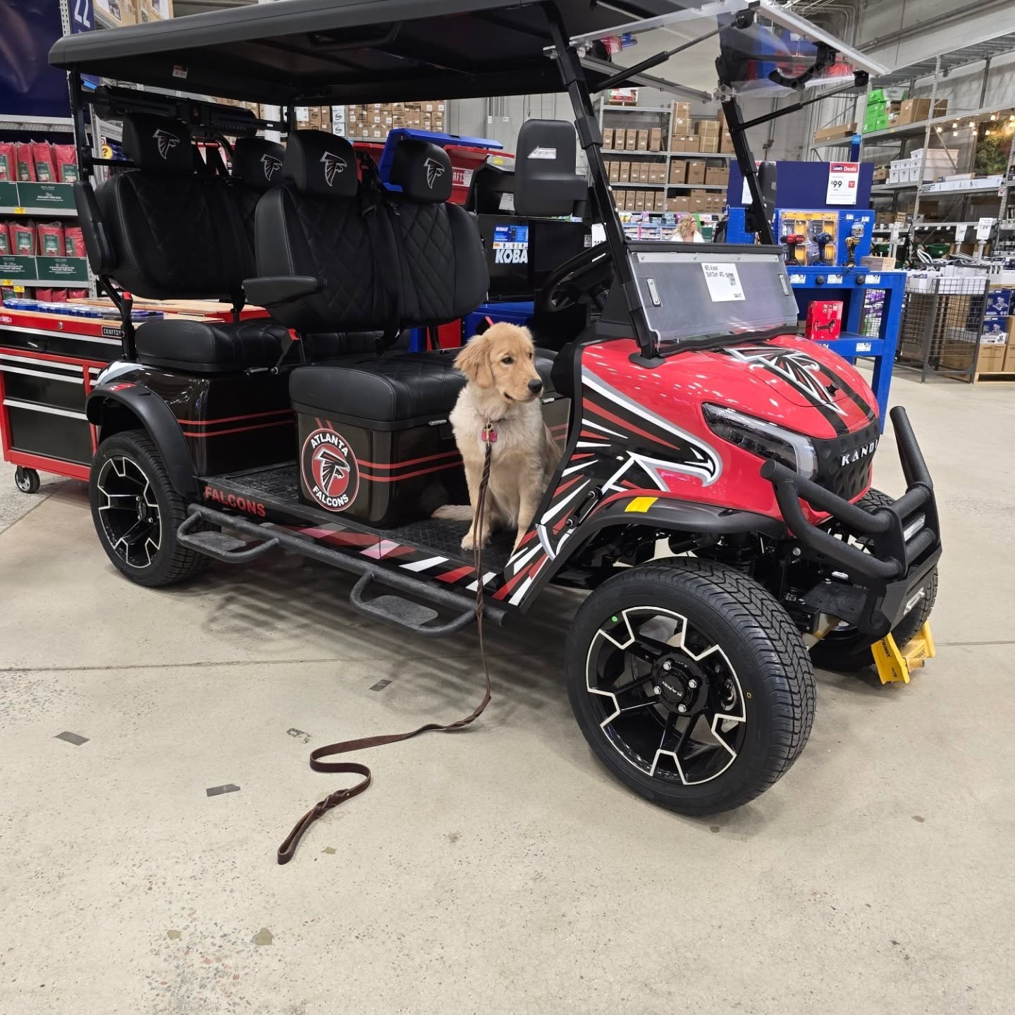 Young 5 month old Callie had a great lesson out in public today! She mastered the mat command on MANY different surfaces! She was nervous getting onto some objects but after some encouragement and a few repetitions she was a fearless pro!