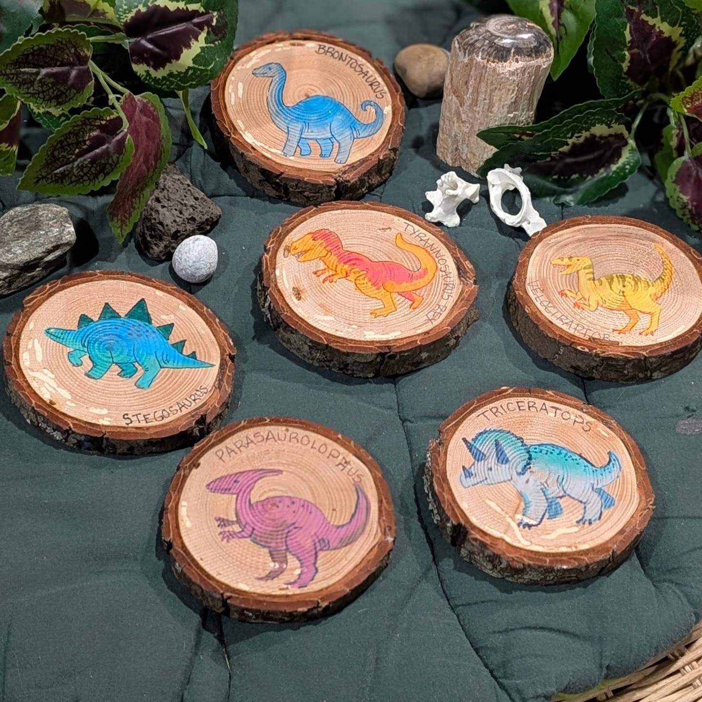 Dinosaurs are finally available on the website 🦕🦖
www.forestlearningtools.net
There are so many uses for this set, dinosaur on one side, their fossil on the back. The set of 6 hand painted rounds are available for $30
Tell me how you would use these resources with your kids?
#DinosaursForKids #dinosaurresources #EducationalTools #ecedinosaurs #handmadewithlove❤️