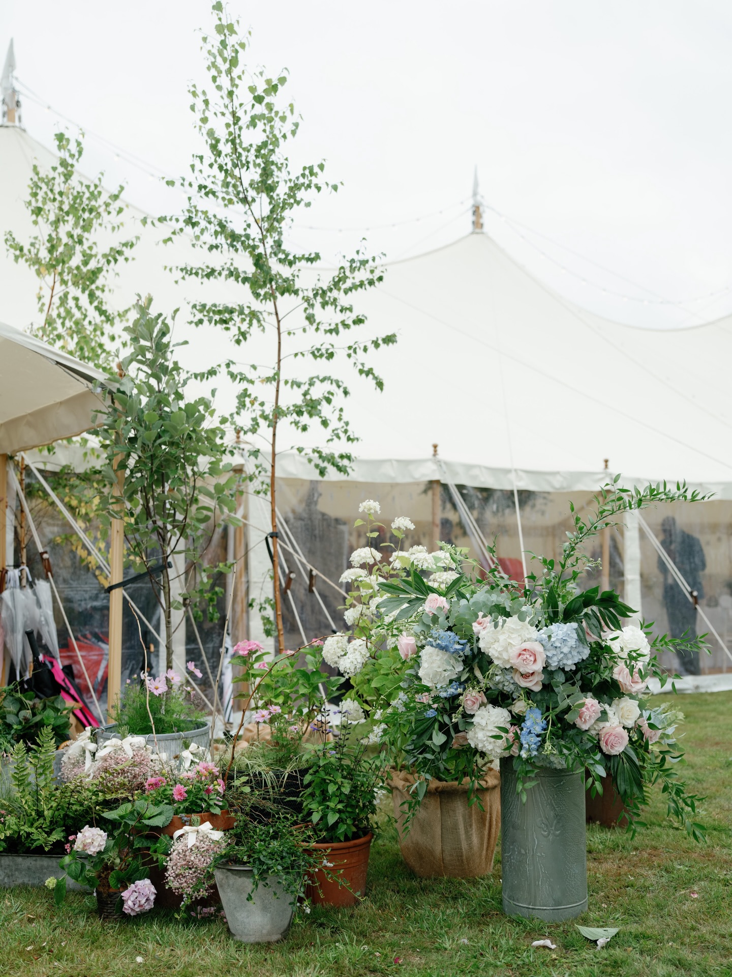 2026 brides and grooms - this is your year!
Marquee weddings, magical moments and memories that will last a lifetime.
Happy New Year ✨
Photographer - @tobiahtayophotography
#greenfarmmarquees #itsawills #2026bride