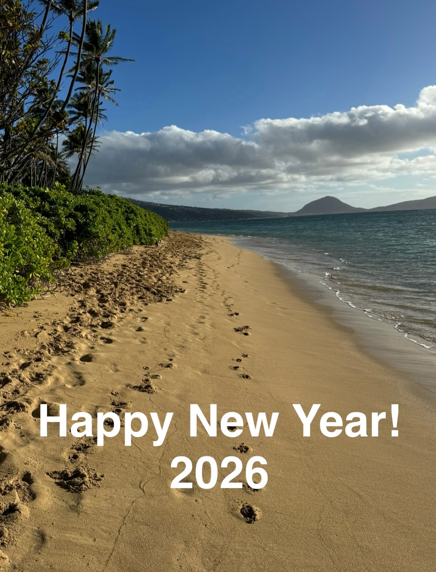 Aloha !!!
Thank you for your continued patronage.
We look forward to serving you in the New Year!
Team plus aloha
- - - - - - - - - - - - - - - - - - - - - - -
plus aloha Hawaii
Web site : www.plusaloha.com
Web shop : www.plusaloha.com/shop
Email : info@plusaloha.com
- - - - - - - - - - - - - - - - - - - - - - -
#plusaloha #plusalohahawaii #alohashirt #hawaiianshirt #hawaiifashion