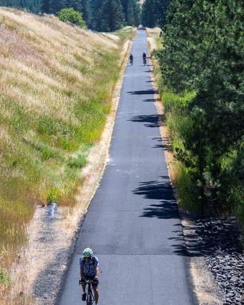 Are you hitting the trail this summer?
@mpdailynews - Cyclists ride along the Latah Trail heading West toward Moscow on Tuesday morning in Troy.
📸: Zach Wilkinson/Daily News
#LatahTrail #PhotoOp #SummerTime