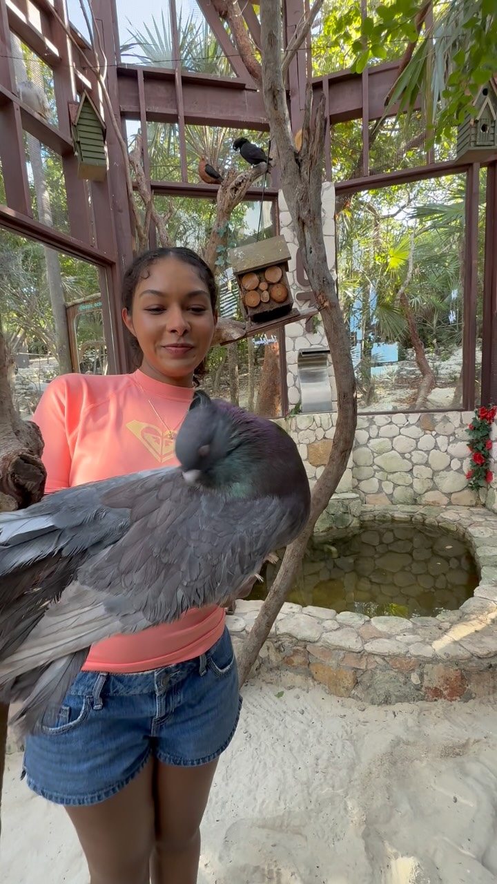 Looking forward to another AMAZING year with all of you! ❤️#letsgetaway #roseisland #oasisocean7beachclub #swimmingpigs