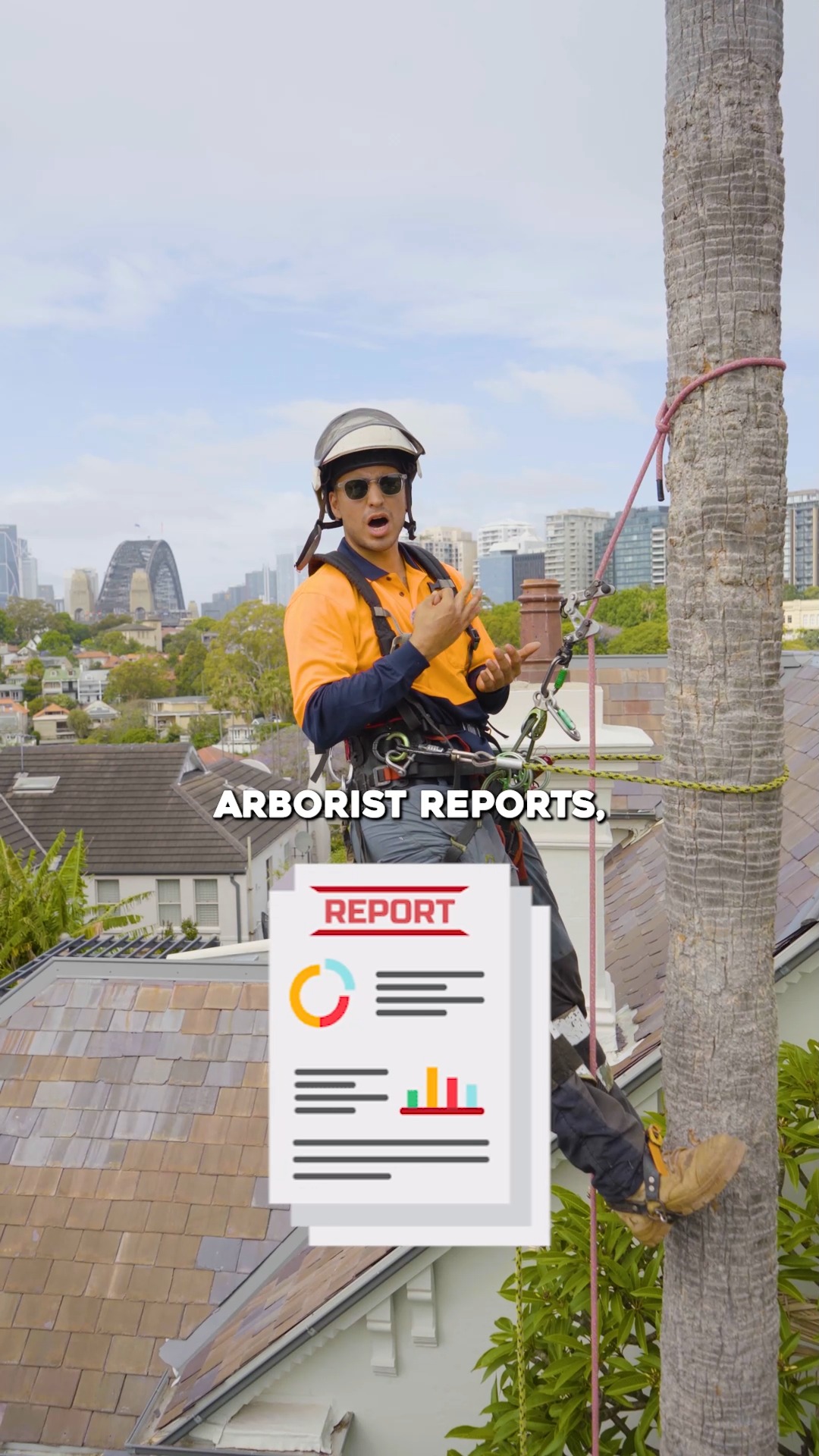 Starting strong means doing things properly from the ground up 🌳
At Northern Beaches Arborist, we handle all aspects of tree work — tree pruning, removals, arborist reports, stump grinding, and tall hedges. Our focus is simple: safe, efficient work that’s done right the first time.
We support homeowners, strata and property managers, and builders with everything from single trees affecting homes to large properties with multiple trees. Helping our clients meet their duty of care while keeping spaces safe, clean, and looking great is what we do best.
If you’re looking for reliable arborists who can handle any type of job with care and professionalism, get in touch with Northern Beaches Arborist today.
📞 Send us a message to book or enquire.
#NorthernBeachesArborist #TreeWork #TreeCareExperts #ArboristLife #TreePruning #TreeRemoval #StumpGrinding #ArboristReports #StrataManagement #PropertyMaintenance #Homeowners #SafetyAndEfficiency #DoneRightFirstTime 🌿