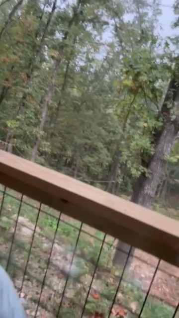 “A few thoughts from the porch this rainy day.”