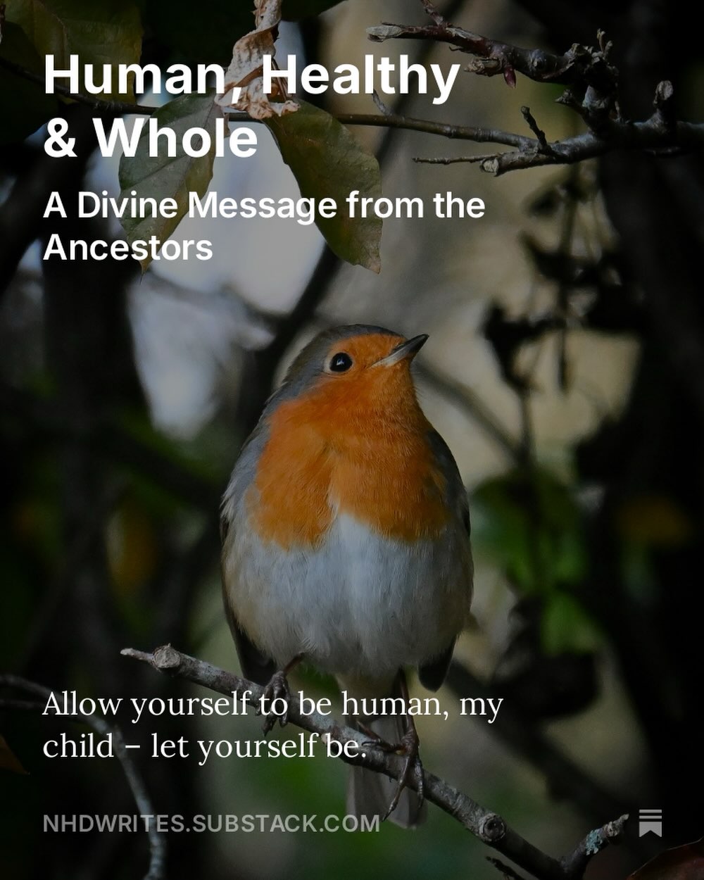 A new piece to read on Substack ✨✍🏻
#reflectivewriter #ancestral #connection
https://substack.com/@nhdwrites/note/p-184270577?r=233nz1&utm_medium=ios&utm_source=notes-share-action