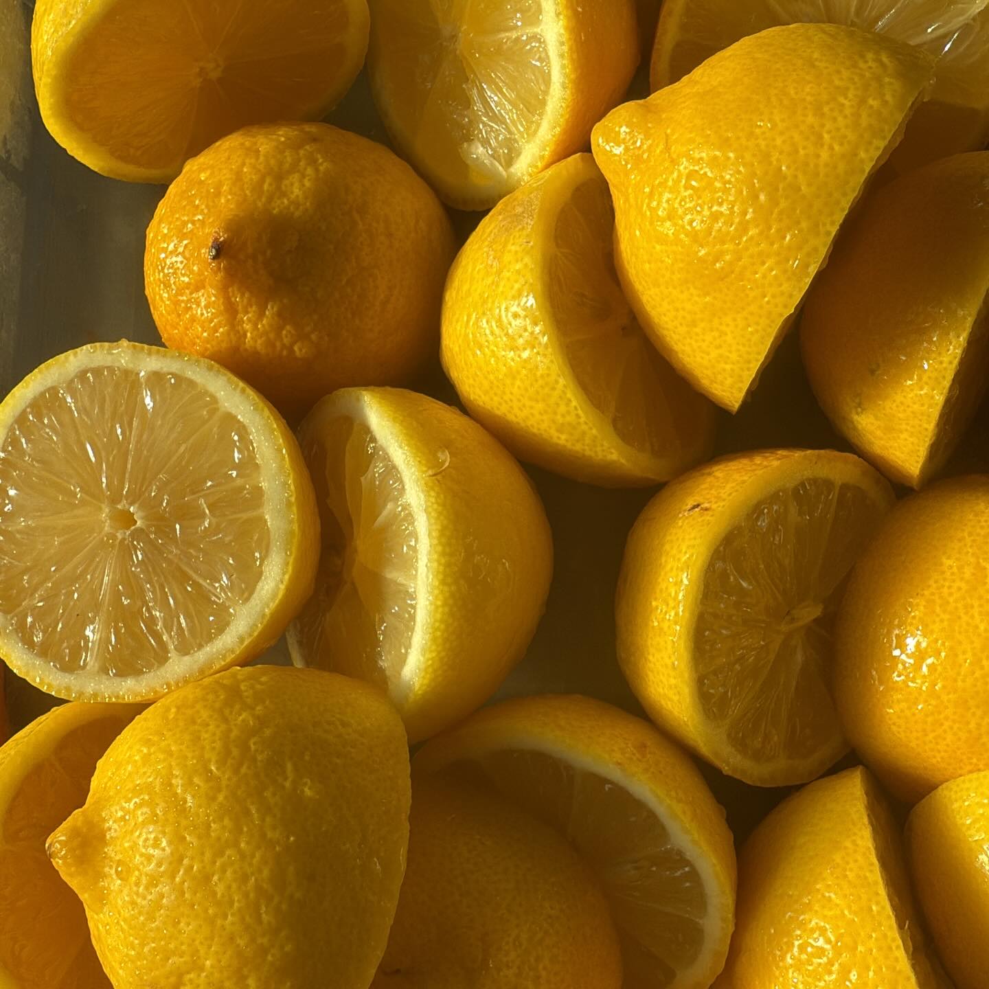 Bringing the sunshine 🌞 tomorrow at the 💫Wentworth Greenhouse Farmers Market- 10-2💫grab a boost for you or that sick coworker that won’t stop coughing🫨🫨 allll the juice, juice shots, and 6 packs you desire. DM if you want me to hold any for you!!