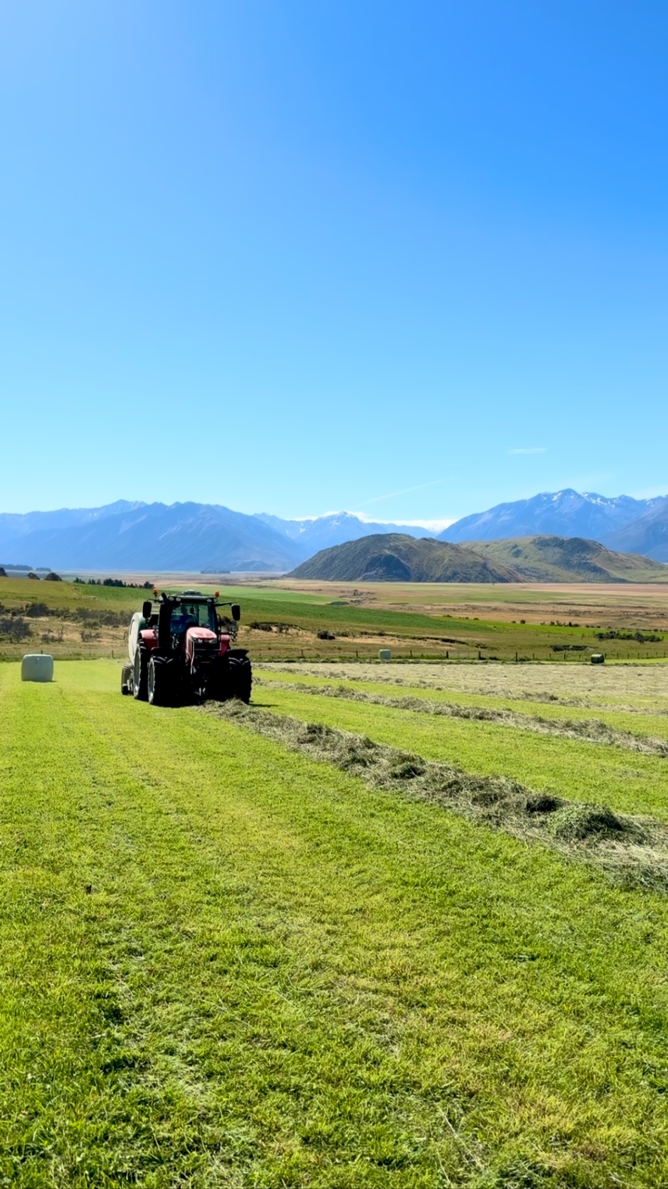 Round baling with an epic view. #canterburyfarming #masseyferguson #agcontracting #tractorreels #roundbaling