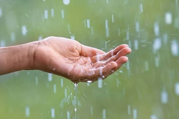 Can we all visualise rain for Victoria please, see the rain falling in the horse, cow, sheep paddocks, the forests and all this beautiful land 💦💦💦