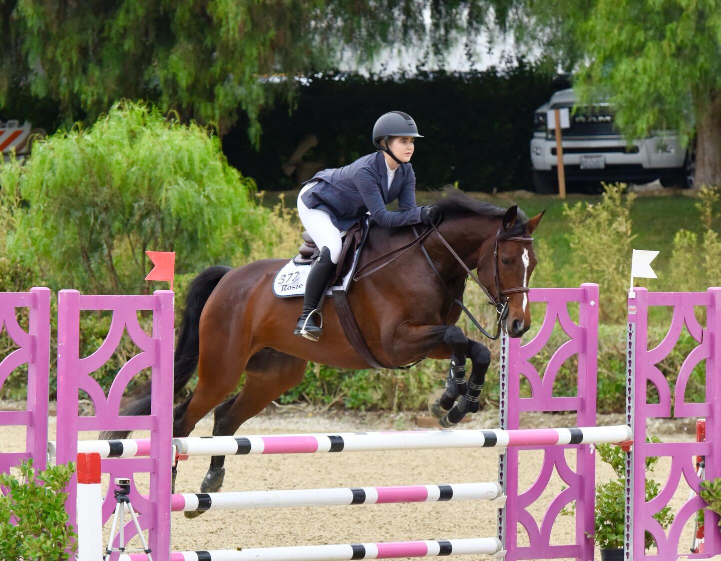 Congrats Cannara and Makayla Judge @mk_or_mj USHJA Champions in 1.00-1.05m Amateur Jumpers Zone X
We are so proud and are looking forward to another great year 🎉👏