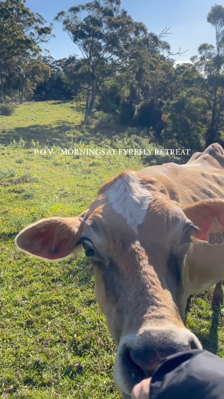 Disconnect from the world, reconnect with yourself 🌿 Your sanctuary for relaxation, inspiration, and pure bliss.
#UnwindInNature #FyreflyLifestyle #RelaxAndRecharge #scenicrim #goldcoasthinterland #weekendvibes