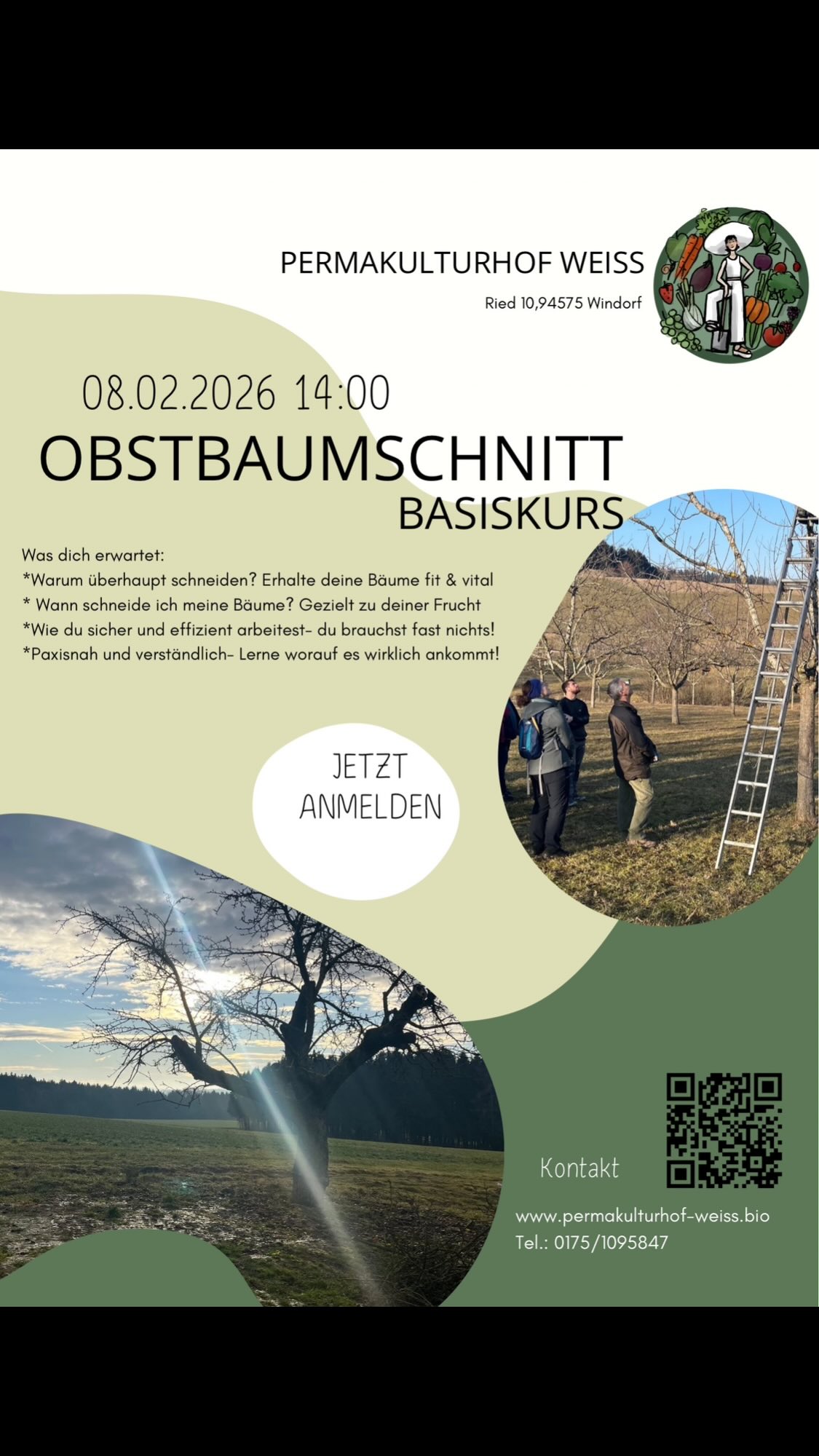 Erster Kurs des Jahres 🥳
Obstbaumschnitt Basis:
Die Grundlagen des Obstbaumschnittes einfach und verständlich, sodass auch Du Dich einfach über deine Bäume traust.
Es gibt so unglaublich viele Techniken und Anleitungen dass man oft einfach erschlagen ist von den ganzen Dingen die man beachten muss….jedoch ist es eigentlich ganz einfach wenn man weiß wie 🤗
Lass dich darauf ein und lerne ganz einfach und eingängig wie du deine Bäume pflegst. Für vitale Bäume und tollen Ertrag…
Gleich anmelden unter permakulturhof-weiss.bio
#permakultur #obst #diy #obstbäume #obstbaumschnitt