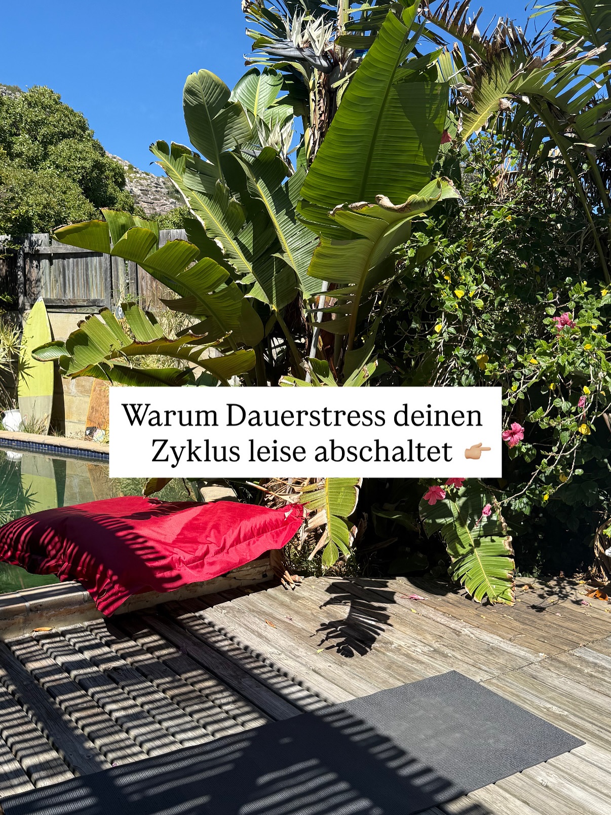 Wenn man über längere Zeit viel Stress hat, kann das den Menstruationszyklus durcheinanderbringen oder sogar dafür sorgen, dass die Periode ganz ausbleibt. Der Grund liegt in den Hormonen, die den Zyklus steuern. 😌
Im Körper gibt es eine Art „Kommunikationskette“ zwischen Gehirn, Drüsen und Eierstöcken:
Der Hypothalamus im Gehirn schickt Signale an die Hypophyse, die wiederum die Eierstöcke aktiviert, damit sie Eizellen reifen lassen und Hormone wie Östrogen und Progesteron produzieren.
Diese Hormone sorgen dafür, dass die Gebärmutterschleimhaut aufgebaut wird und die Menstruation stattfinden kann.
Bei Dauerstress produziert der Körper das Stresshormon Cortisol. Cortisol sagt dem Hypothalamus quasi: „Alarm! Wir müssen überleben, die Fortpflanzung kann warten.“
Dadurch werden die Signale an die Eierstöcke gedrosselt, die Hormone Östrogen und Progesteron werden weniger gebildet und der Eisprung findet oft nicht statt. Ohne Eisprung gibt es keine Menstruation der Zyklus bleibt aus.
Zusätzlich können Stress, Schlafmangel oder schlechte Ernährung den Hormonhaushalt weiter stören. Der Körper stellt also die Fortpflanzung zurück, solange er im „Stressmodus“ ist. Kurz gesagt: Bei Dauerstress denkt der Körper zuerst an Überleben, nicht an Fortpflanzung und der Zyklus kann ausbleiben.🫸🏼
#periodenverlust #unregelmäßigerzyklus #ausbleibendeperiode #hormoncoaching