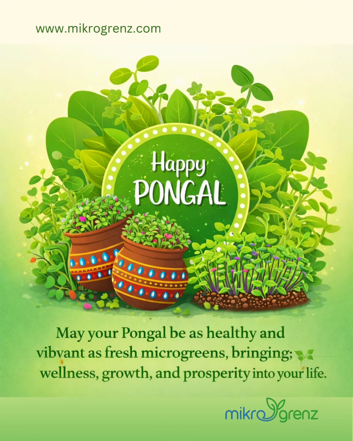 We wish you a healthy happy pongal from team mikrogrenz.
.
.
.
#microgreens#pongal #festivalsofindia