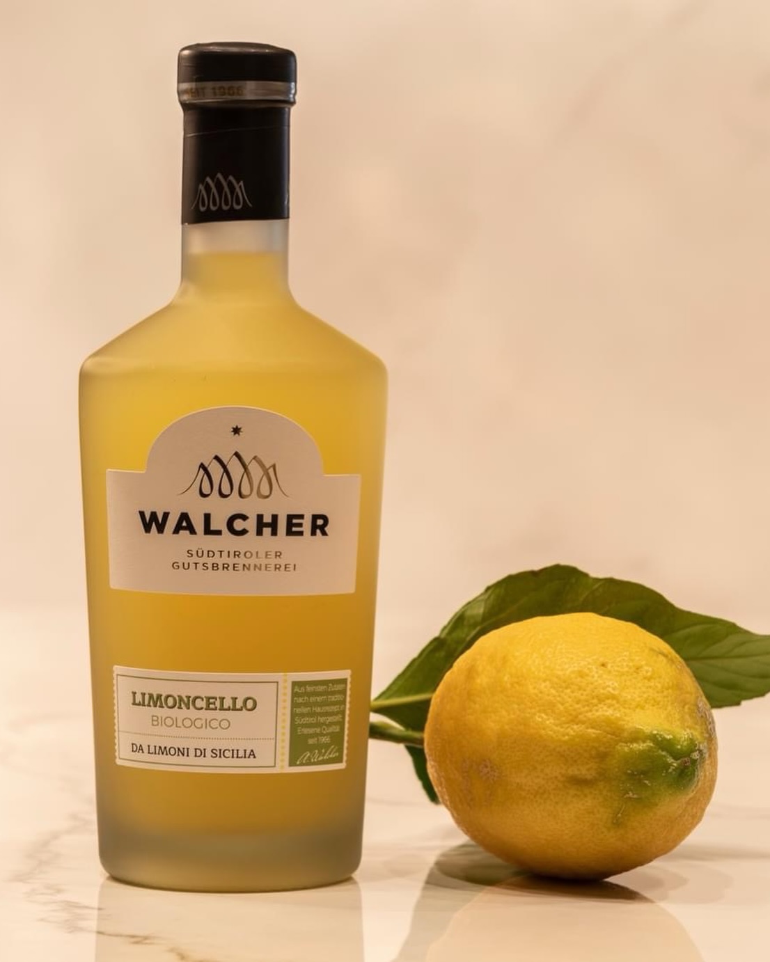 Walcher Limoncello Biologico 🍋
Gasten zoeken vandaag méér dan een goed glas.
Ze zoeken beleving, uitleg en aandacht.
Deze limoncello is gemaakt voor dat moment aan tafel.
Van biologische Siciliaanse citroenen, waarbij sap en schil samen worden geïnfuseerd.
Minder suiker. Lager in alcohol. Geen aroma’s.
Daarom serveren professionals deze limoncello uit de koelkast en niet uit de diepvries.
Te koud maskeert smaak. Koelkastkoud laat frisheid, balans en elegantie spreken.
Even uitleg bij het uitserveren,
waarom hij puur wordt geschonken
en waarom dat juist het verschil maakt,
maakt het digestief tot een afsluiter met karakter.
Niet harder schenken.
Maar beter vertellen.
Dat is wat een avond bijzonder maakt.
#professionalchoice
#walcher
#limoncellobiologico
#digestief
#hospitalityexperience