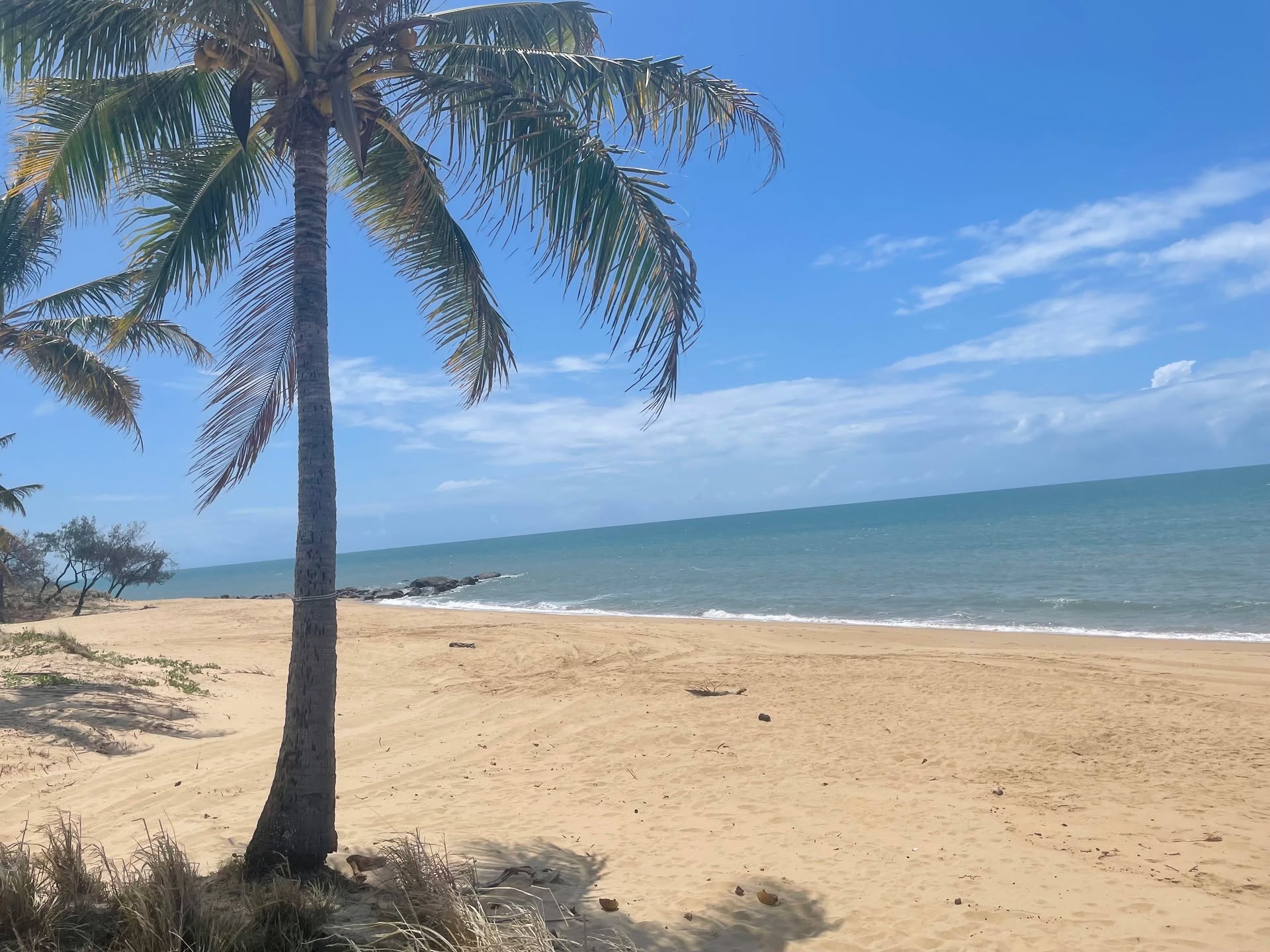 Ellies Beach🌴🥝
#cairns#elliesbeach#backpackers #hostellife