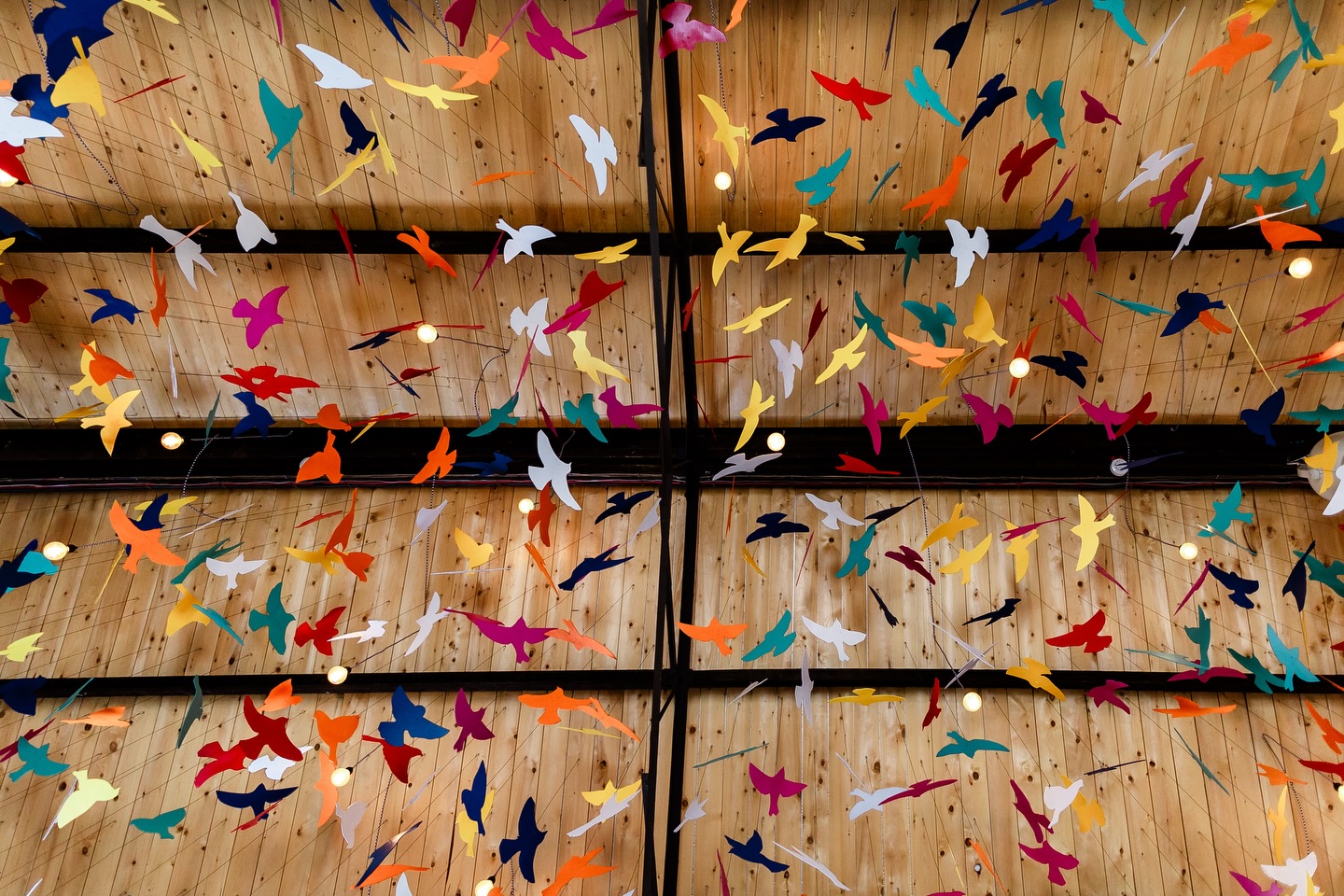 // Look up! \\
Swipe to see the magic →
The iconic colourful birds in The Canary Shed roof… me flat on my back capturing every detail no matter the angle… and then the third photo, gracefully attempting to get up 😉
If you’re on the hunt for a photographer, I capture colourful authentic images full of laughter, happy tears, and personality. From morning mayhem to dancefloor chaos, I’m there for all the best bits, guiding gently with zero awkward posing. My approach is inclusive, body-positive, and love-first. A photographer who’s equal parts hype girl, on-the-day problem solver and who feels more like a mate with a camera.
Weddings at @thecanaryshed are all about joy, colour, and real moments, and I’m here to capture every last one. Excitedly counting down the days to the Open Day. Can’t wait to meet couples and talk all things weddings!
#thecanaryshed #thecanaryshedweddingphotographer #pinkypromisephotographyuk #canaryshedphotographer
Helen is a published fun and inclusive wedding photographer based in East Anglia (Norfolk and Essex), also covering events in London, Cambridgeshire, Suffolk, Kent and beyond. With a relaxed and unposed approach offering colourful authentic imagery of folks in love having their best day!
The Canary Shed wedding photography | Fun Essex wedding photographer