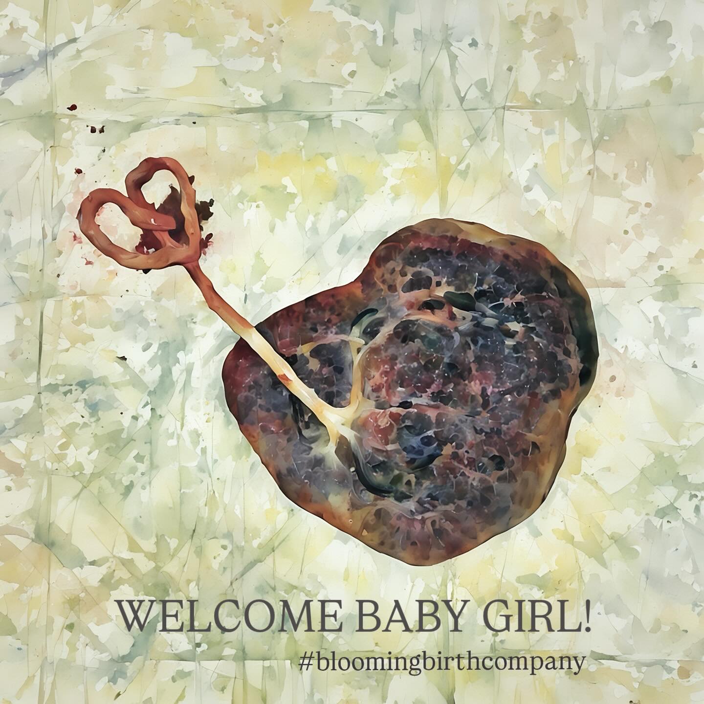 I can’t believe we missed posting our final 2025 birth in November! This new mama and little beauty were the sweetest way to wrap up another very blessed year of being “with women.” Every woman, baby, labor, birth, family, and story are so unique, this work truly never gets old or mundane! Just look at these placentas… each so very unique and come with a story all their own. Thank you to each and every family that chose to birth with us last year… we are so proud of, humbled by, and grateful for every single one of you!!