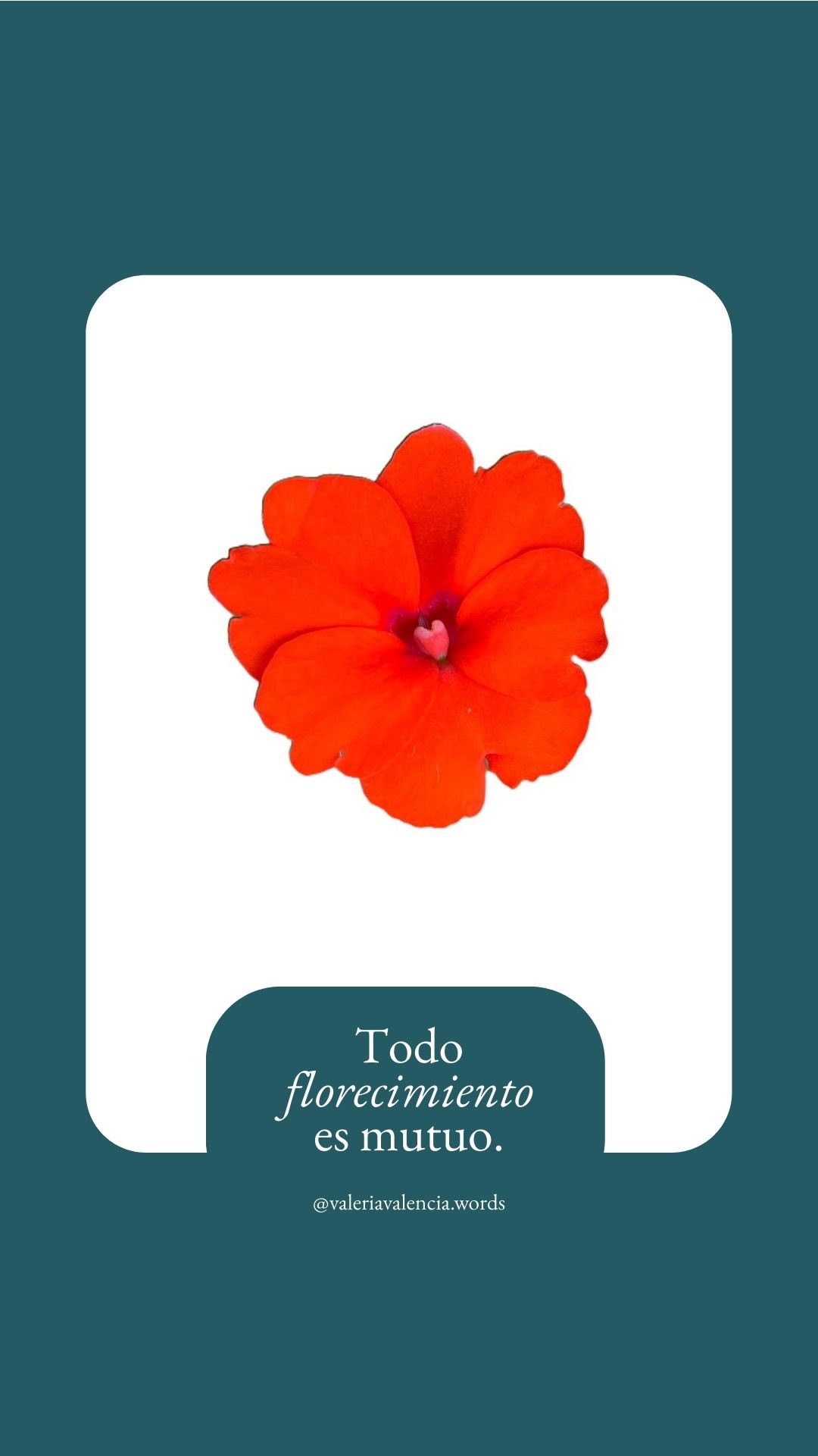 All flourishing is mutual 🌱.
Todo florecimiento es relacional 🌺.
Gracias a Robin Wall Kimmerer por compartir una frase tan acertada ✨.
