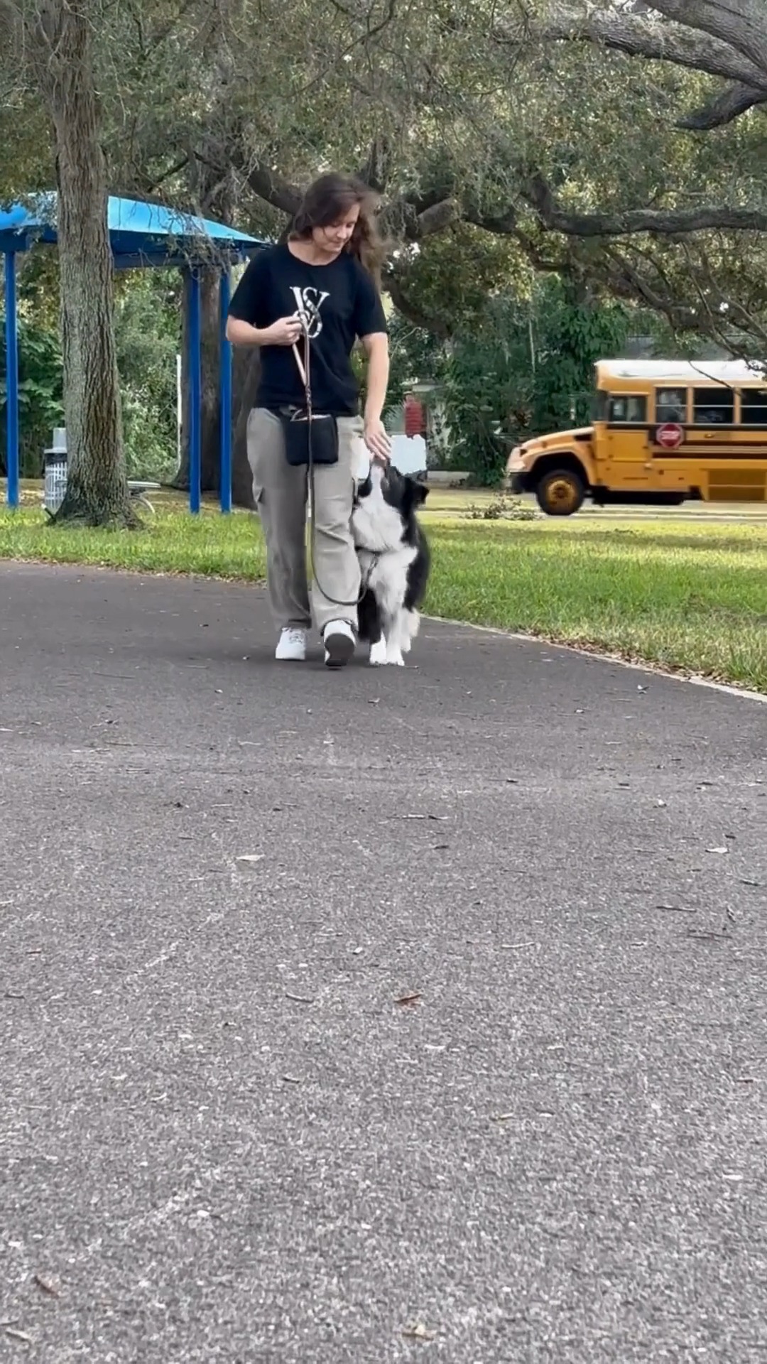 That quiet little “yes” matters 🐾✨ As Puff heels, Liana is marking focus and attention right in the moment. Clear feedback helps dogs understand exactly what they did that you liked, and Puff is showing up and trying hard here.
👉 What word do you use to tell your dog, “Yes, that’s it!”?
#LianaFitCanineConditioning #VirtualDogTraining #ConfidentCanine #PositiveReinforcement #RealLifeTraining