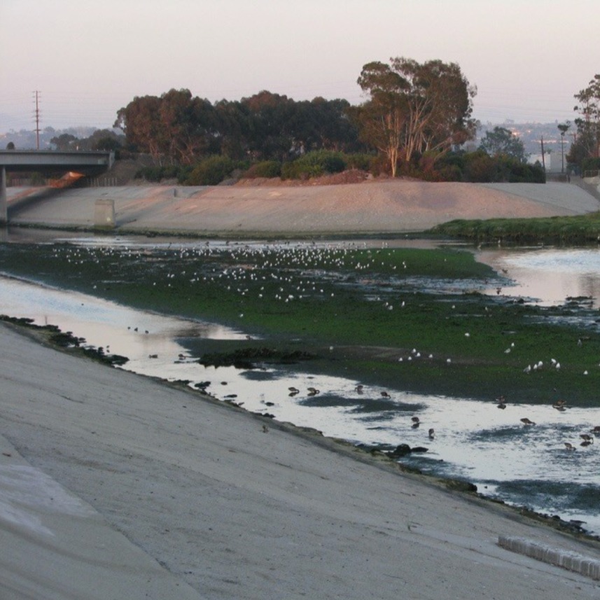 Join the DRNC Land Use Planning Committee this Thursday, January 15, 7pm on Zoom for an update on proposed developments at 5000 Beethoven aka "Bird Island". The owner's representative will address the current private street application as well as future plans for the site. We encourage interested parties to attend and/or give public comment. Agenda and Zoom link can be found on our calendar: https://www.delreync.org/calendar