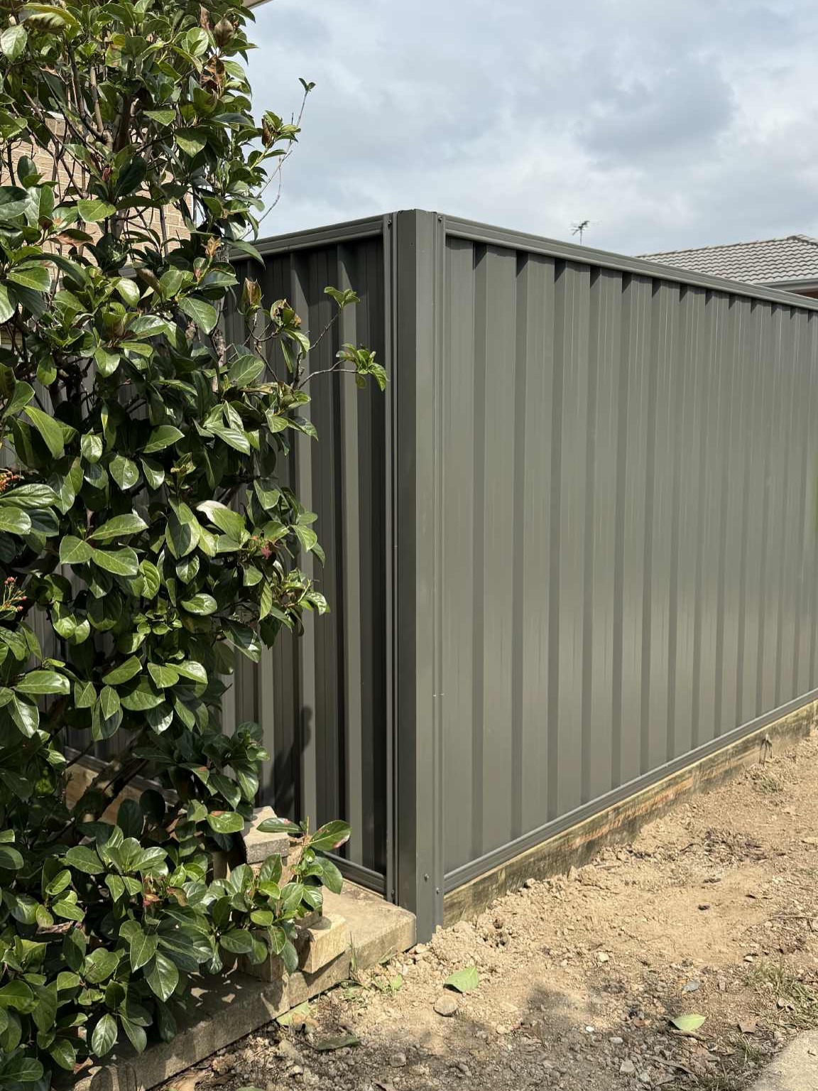 Woodland Grey Colorbond Fencing. 🫡
#fencing #fencer #fenced