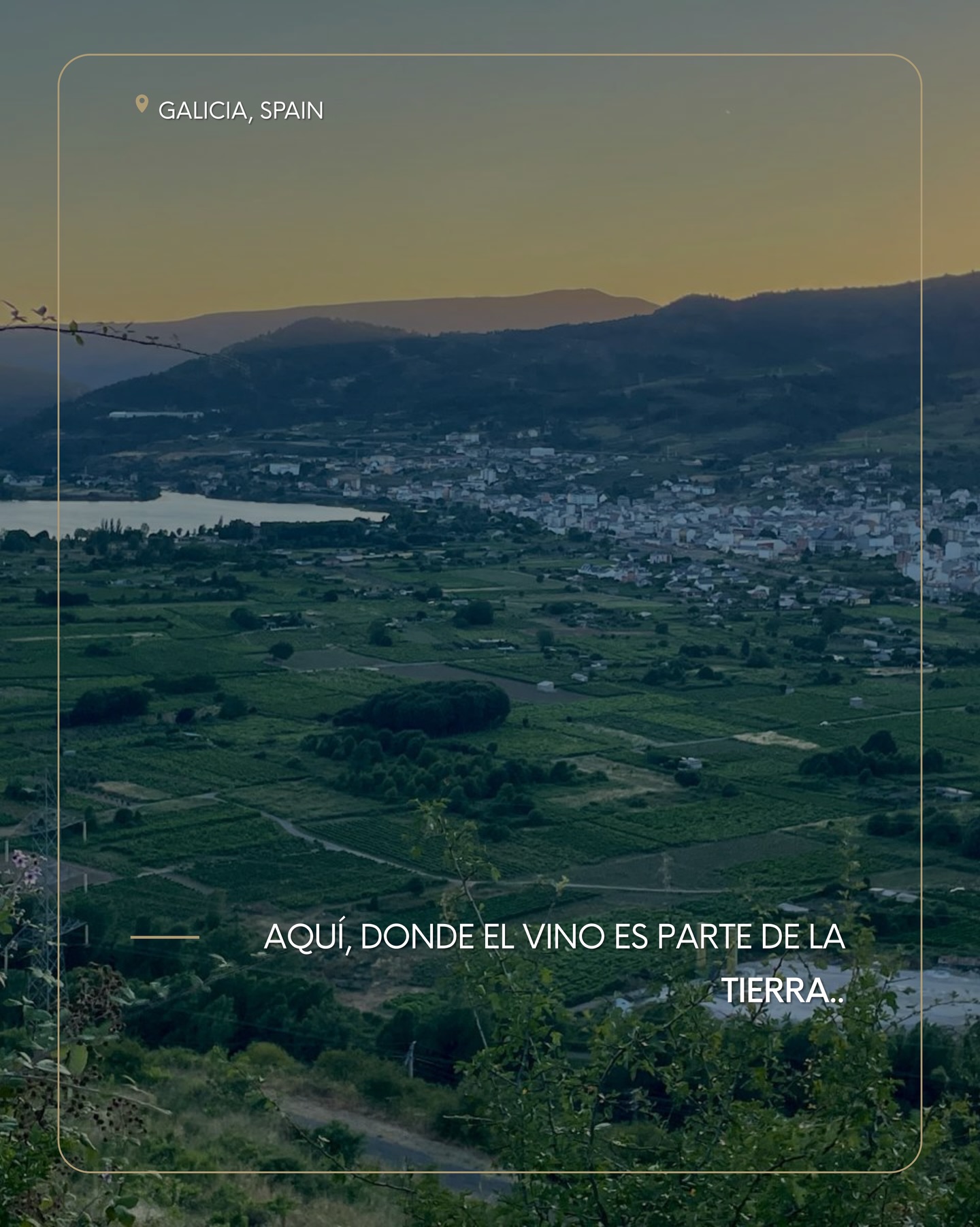 Aquí empieza todo 🌱