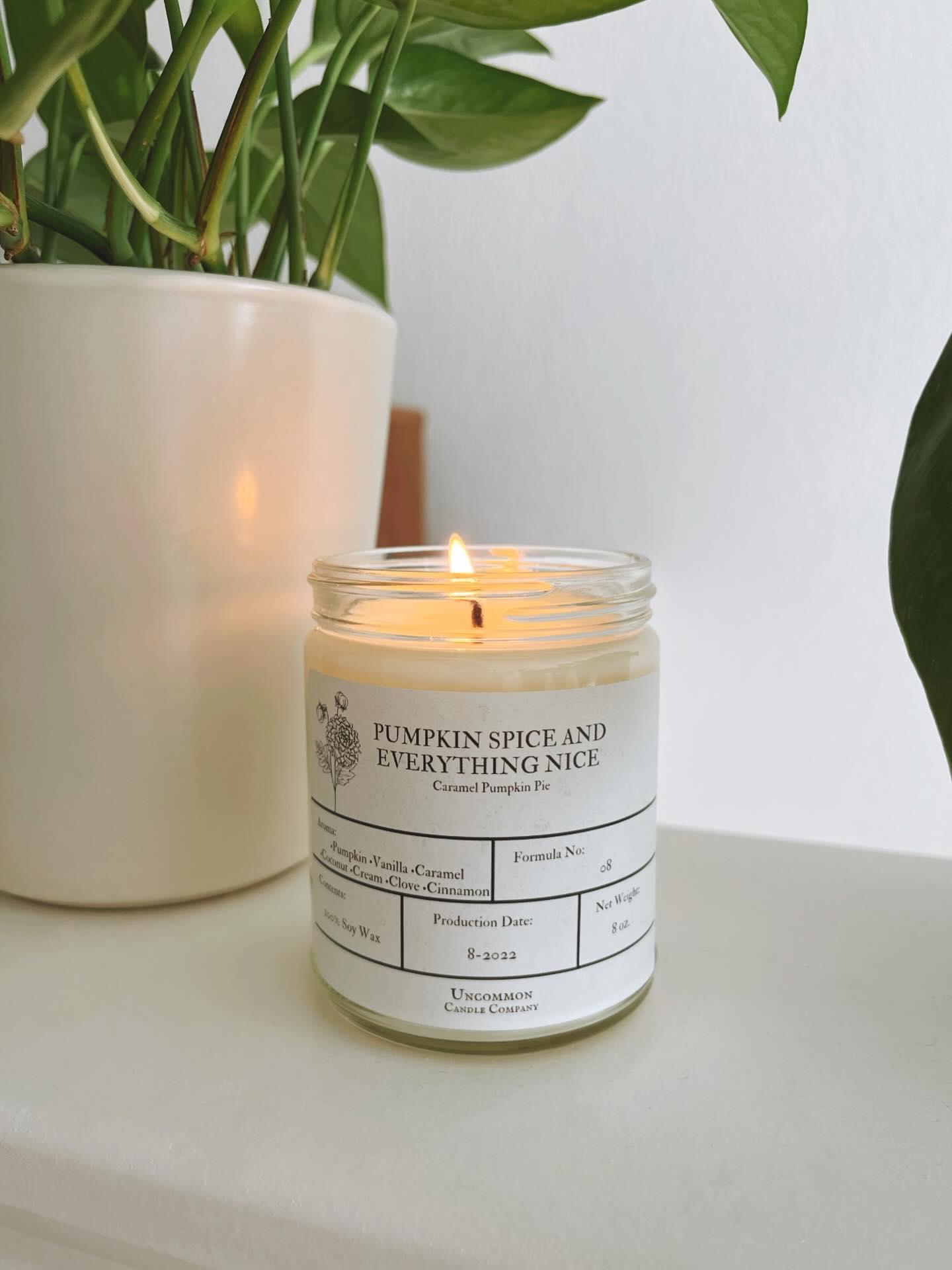 Classic. Spiced. Seasonal.
Pumpkin Spice and Everything Nice is a blend of pumpkin, warm brown sugar, cinnamon, clove, cream, vanilla, and nutmeg.
100% Soy • Strong throw • For when it’s finally pumpkin spice season.
Formula no. 08
#candlemaker #soycandles #shopsmall #seasonaldecor