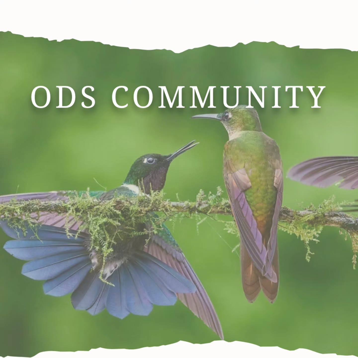 COMMUNITY | Objet D'Art Stuff Antique Vintage https://share.google/7gmrdpgRoud909Eu2