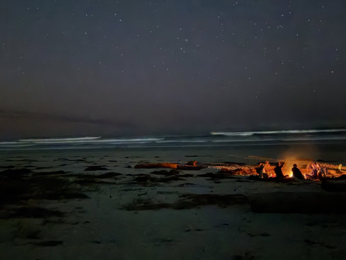 This photo looks like a painting! There are few things better in life than gathering around a beach bonfire with friends. Did you know bonfires are allowed at Asilomar Beach? They’re permitted only on the south side of the seasonal creek (closer to Pebble Beach). Pro tip: Park near Fishwife restaurant and take the boardwalk path to access that side—much easier than hopping over the creek with your firewood and s’mores in tow!
Photo credit @lpelican_12 💙