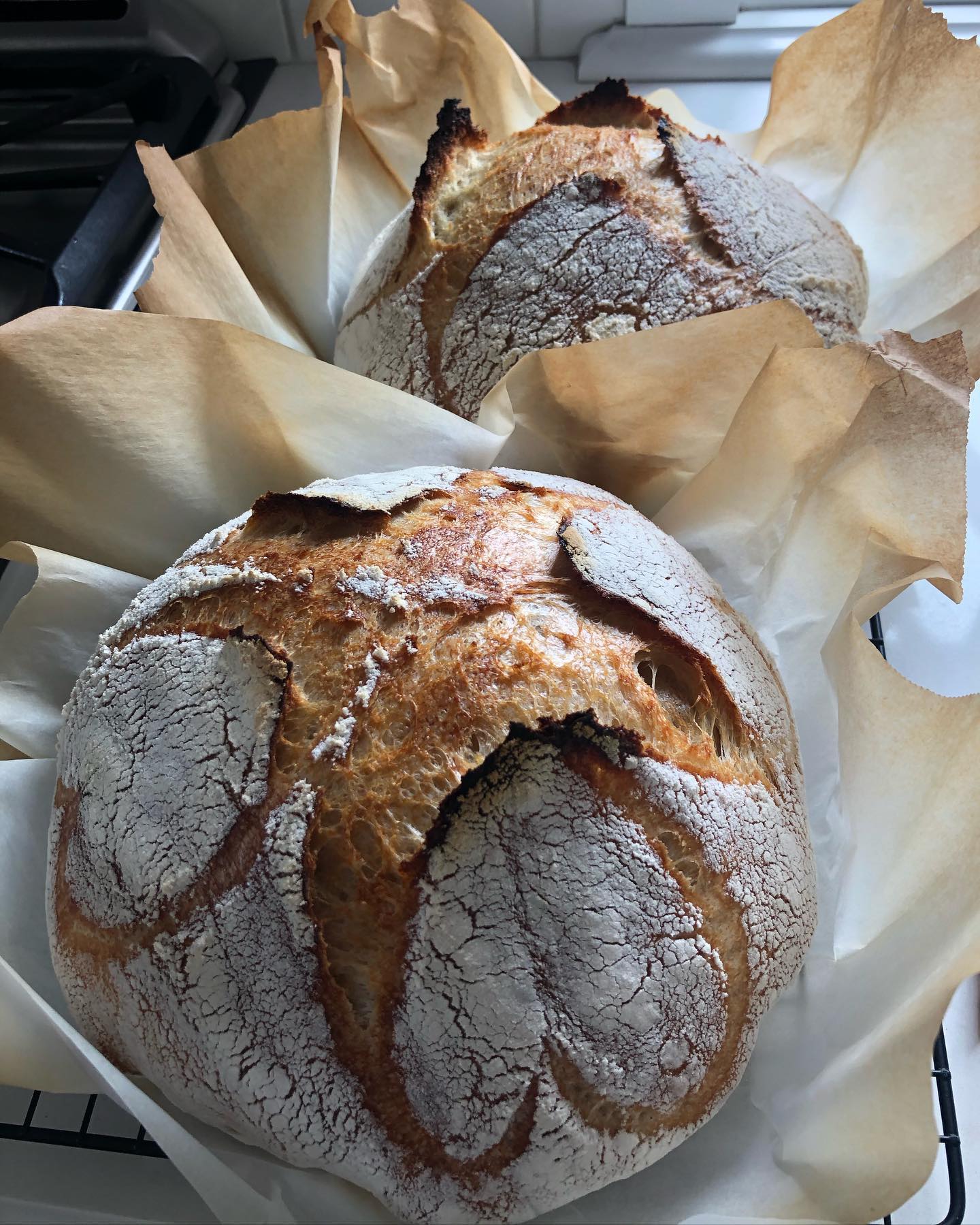 Made with love 💕. Filled with love. Lots of love to everyone. Have a great week!