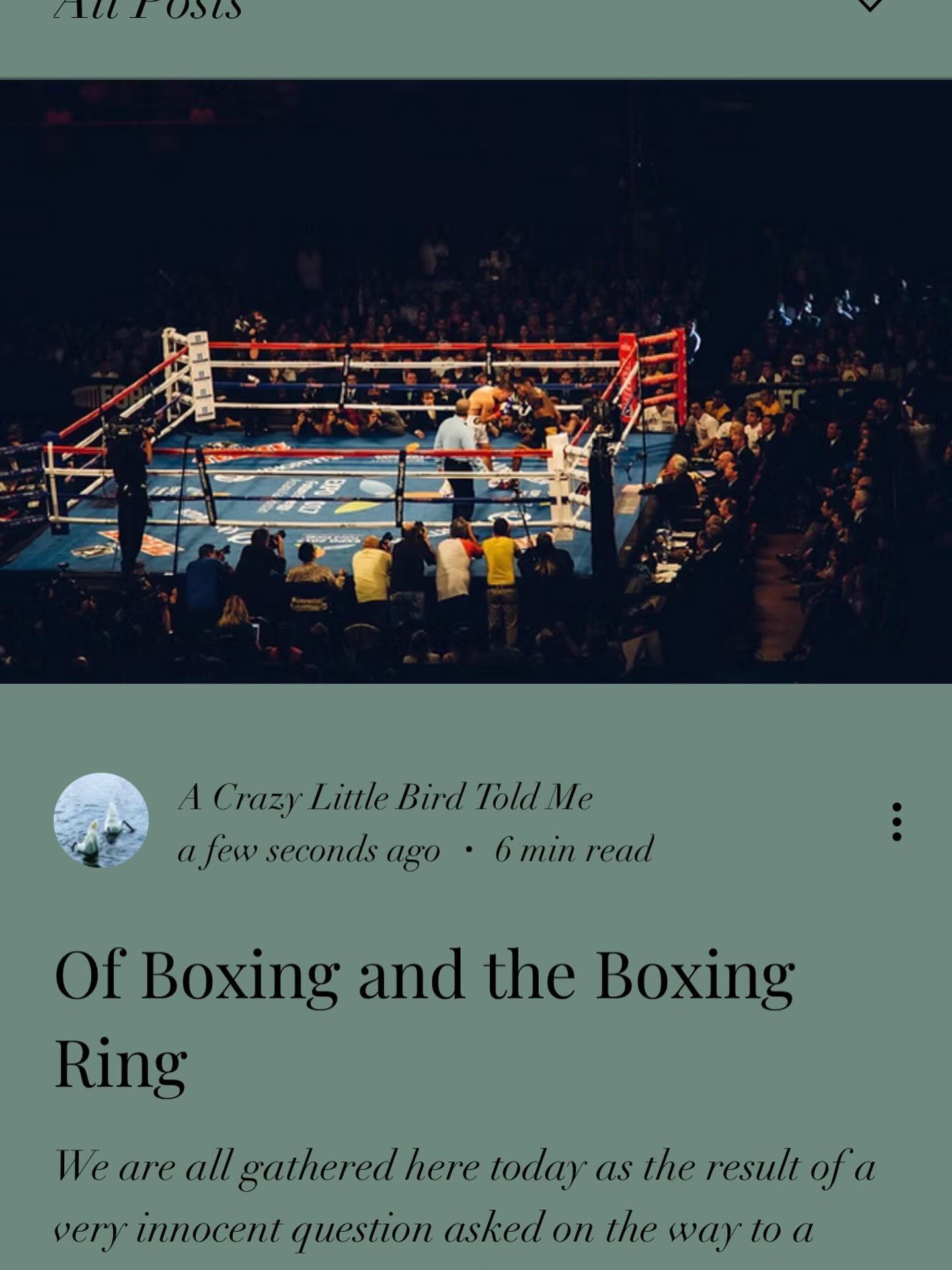https://www.acrazylittlebirdtoldme.com/post/of-boxing-and-the-boxing-ring