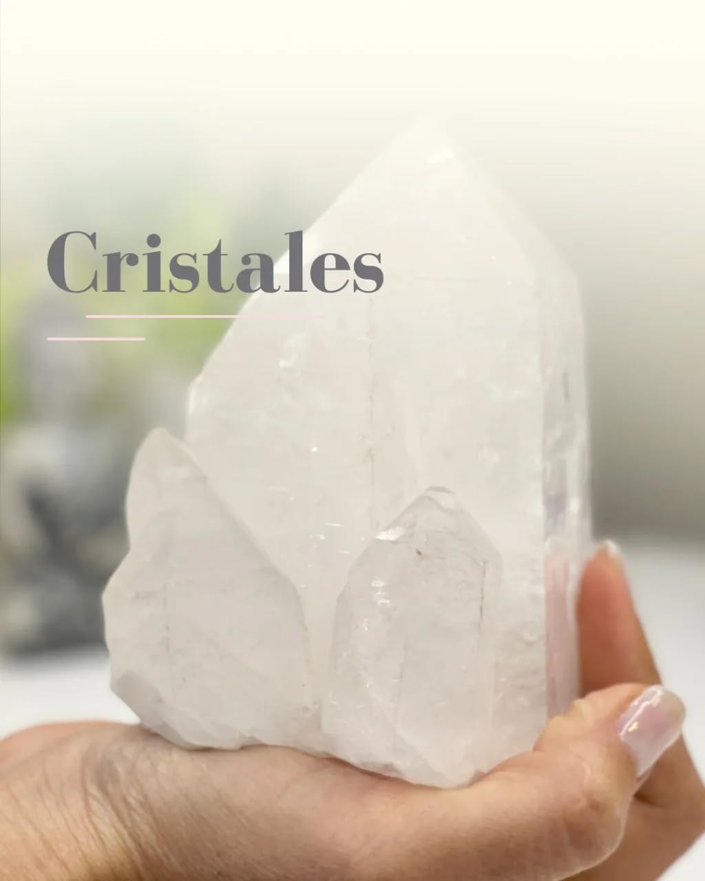 Beneficios de los 𝐂𝐫𝐢𝐬𝐭𝐚𝐥𝐞𝐬🌟💎
🧘♀️ Los cristales pueden usarse para la meditación:
Sirven para despertar y desarrollar la intuición, conectándonos con la energía más profunda de nuestro ser.
🍃 Para armonización:
Es una manera de ponerte los cristales en eje buscando tu centro, ese lugar interior que te equilibra, calma los excesos de la mente, los desbordes emocionales y ayuda a percibir otro enfoque, con la armonización te integras con todo tu ser.
Armonización de un espacio
Aporta equilibrio y libera tu espacio de energía densa. Es ideal comenzar con una turmalina negra, podes colocarla en algún lugar que creas que lo necesita, en algún espacio donde suele haber discusiones, siempre está limpiando y liberando.
También son buenos los hematites, sostiene el espacio conectado con la tierra, ideal para concretar y fluir.
Siempre un cuarzo transparente o una amatista son cristales que aportan luz, energía, despejan densidades y permanecen irradiando luz.
💤 Dormir con cristales
Algunos cristales son beneficioso para relajarnos, ayudan a detener la mente entrando suavemente en la relajación y el sueño. Se puede colocar debajo de la almohada o acostarte unos minutos boca arriba para ponerlo sobre ti tercer ojo manteniendo una respiración relajada. El cuarzo rosado es un buen aliado para hacer esta experiencia, ayuda en los procesos del corazón que quitan el sueño.
La labradorita te puede ayudar a recordar sueños ❣️
¿Alguna vez los usaste? Dejanos tu comentario 😊
#cristales #meditación #meditacionguiada #constelacionesfamiliares #coaching #reiki #registrosAkáshicos #souljourney #soundhealing #bienestarholístico #bienestar #yogakundalini #miami