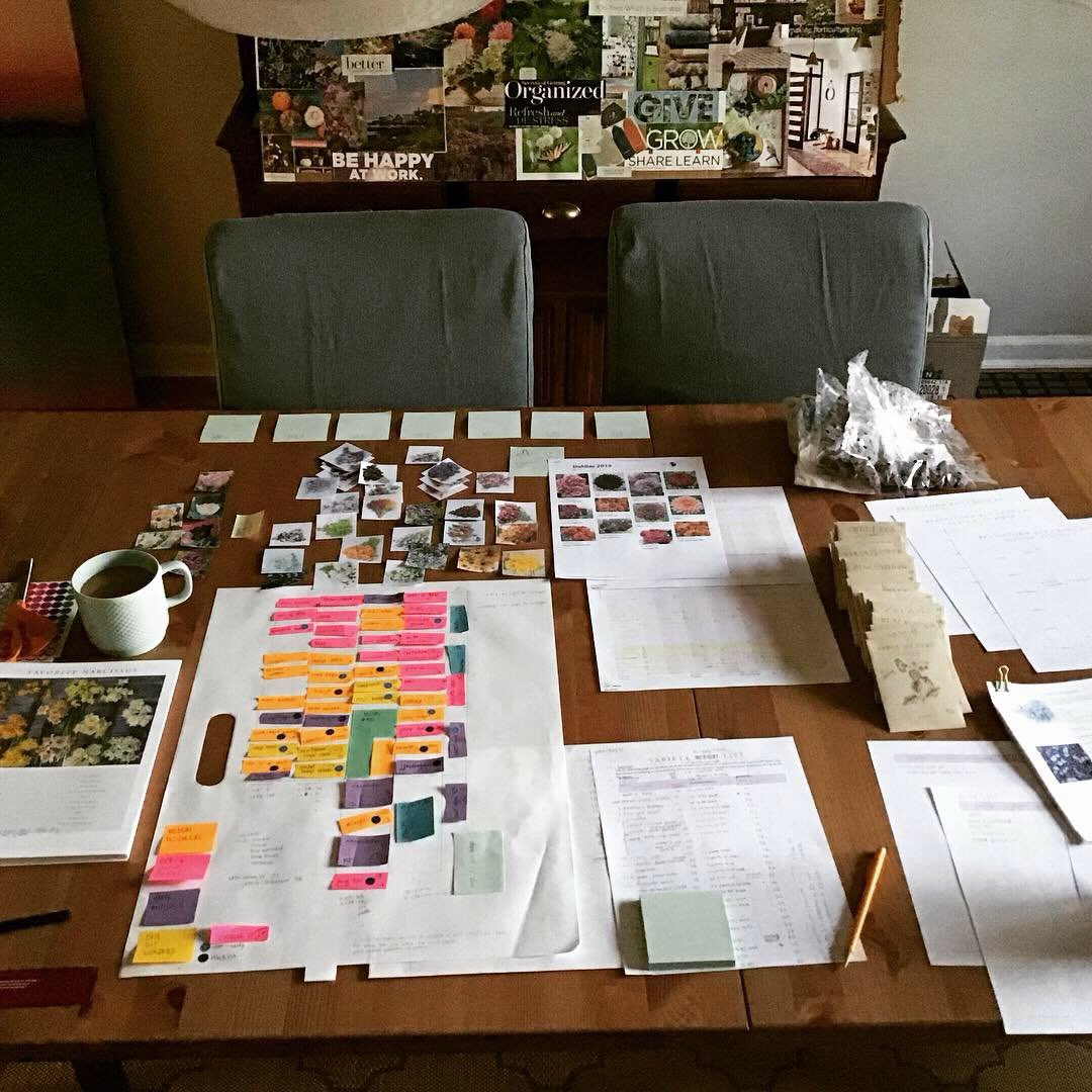 As a @floretflower graduate, I have lifetime access to retake the course every year. I started my re-watch earlier this week and was reminded of the hope and excitement that filled me in 2019 when I started.
Erin starts each year making a vision board and I remembered I had a picture of my first one (see above). Giving, learning, being organized and loving work all jumped off the page from my first poster. It strikes me fitting that those are the same feelings that have brought me back to reopening Sprout to Bloom, albeit with a tiny twist.
I’m determined to keep that focus as I enter 2026 hoping to bring the joy of flowers to my clients and followers.
My planning starts now for the upcoming season. Yours can too. It doesn’t have to be intense or stressful. This “off season” is a time when nature hibernates in order to push forth new growth when the tempertures warm up. Its the perfect time to plan so that you and your ground are ready for Spring.
Contact me if you have questions of what could be this year, if you’ve wondered about adding a garden to your space or if you want to help reverse the effects of climate damage one yard at a time. #floretflowerfarm #homegardener #betterhomesandgardens #landscaping #smallbusinesslove