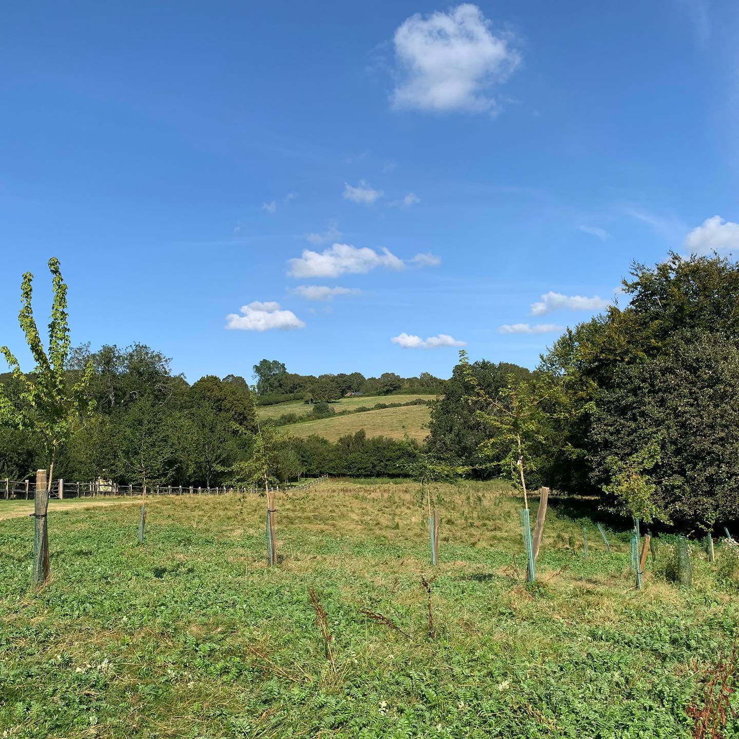 Can you spot Jessie in this lovely photo? She’s tucked away among the trees ready and waiting for her next guests. #castlemanscottages #holidaycottage #selfcatering #staycation #homefromhome #weekendbreaks #shortbreaks #escapetothecountry
#weekendinspiration #eastsussex
#glamping #shepherdshuts #madeintheuk #madeinengland #ukcoastline #sedlescombe #visiteastsussex #visitkent #1066country