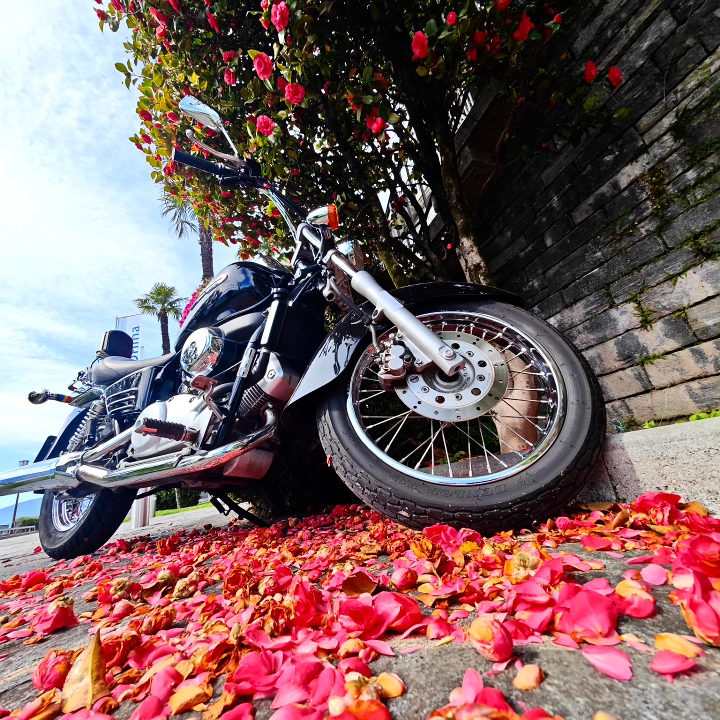 Motorradfahren in Brissago – die kleinen Strassen oberhalb und entlang des Maggiore Sees, der Duft der Blumen… das macht das Abenteuer unvergesslich. Komm nach Brissago!
---
Motociclismo a Brissago – le stradine sopra e lungo il lago, il profumo dei fiori rende l’avventura indimenticabile. Vieni a Brissago!
--
Motorcycling in Brissago – the small roads above and along the lake Maggiore, the scent of flowers makes the adventure unforgettable. Come to Brissago!