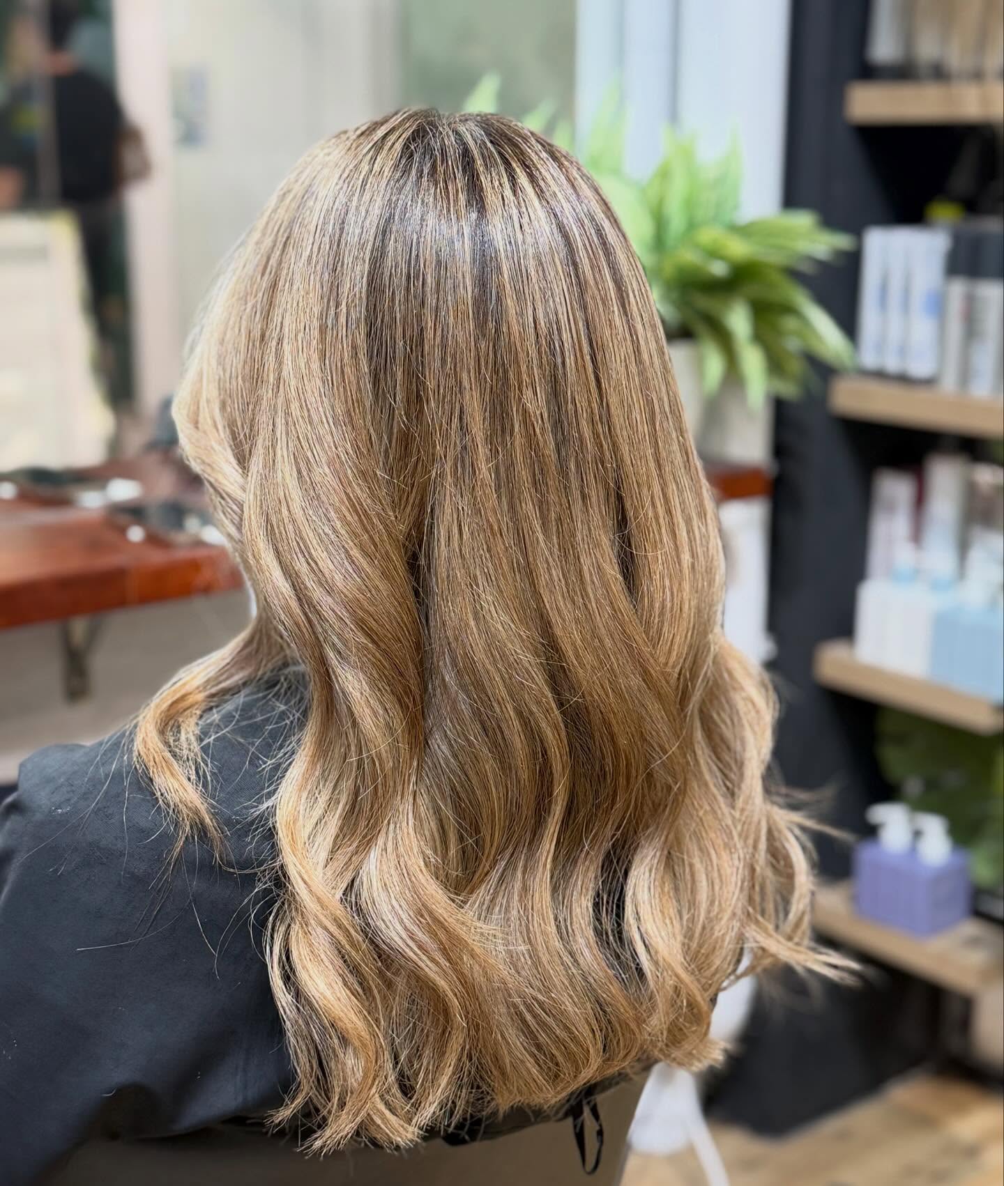 Feeling fresh✨Fresh highlights and soft balayage in the most beautiful golden tones ✨
Natural, sun-kissed and full of dimension 🤍 @dyesalonsydney #golden #newhair