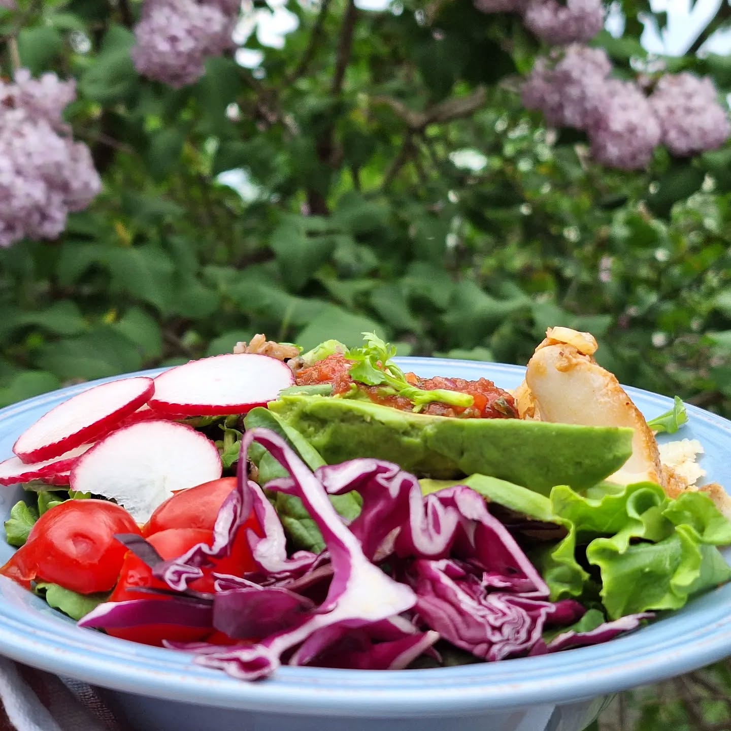Fish taco salad eaten outdoors with lilacs as my lunch companion! I topped salad greens with leftover cod, black beans, brown rice, radish, red cabbage, cherry tomatoes, homemade salsa, and avocado with a cilantro-lime vinaigrette.