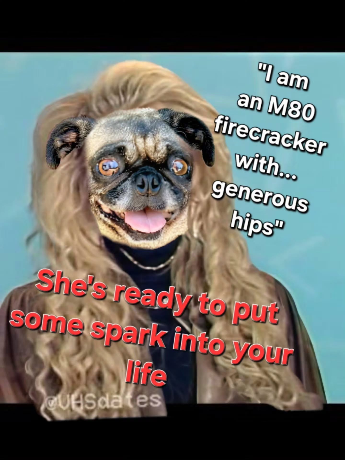 Dating VHS 001: If you know, you know... this baby is looking for her furever home. Contact Many Paws K9 Rescue for more information (818) 917-3634 #rescueismyfavoritebreed #rescuedogs #Rescuepug #dogrescue #sfvdogrescue